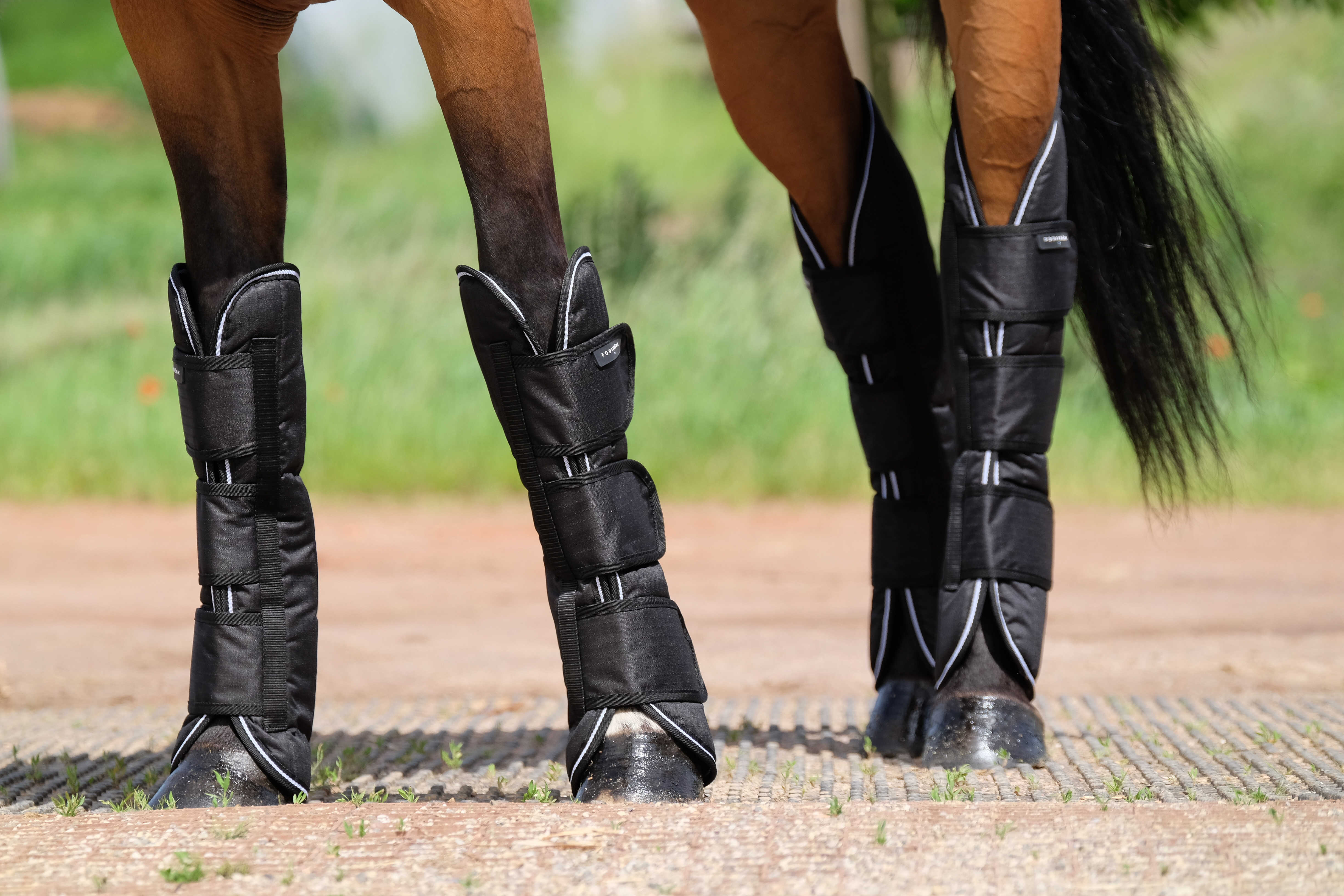 Equitheme Tyrex 600 D Transport Boots Black - 3