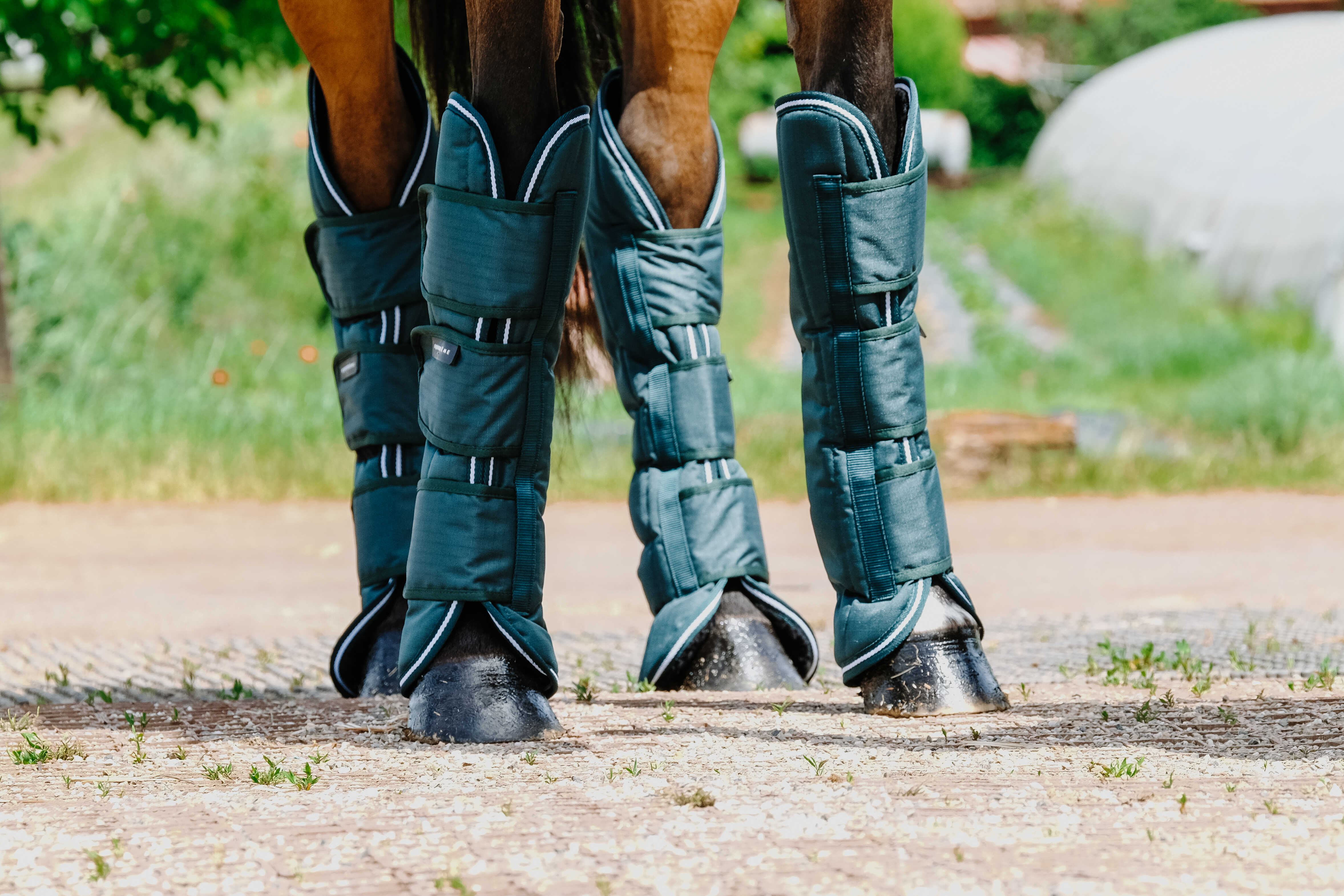 Equitheme Tyrex 600 D Transport Boots Green - 4