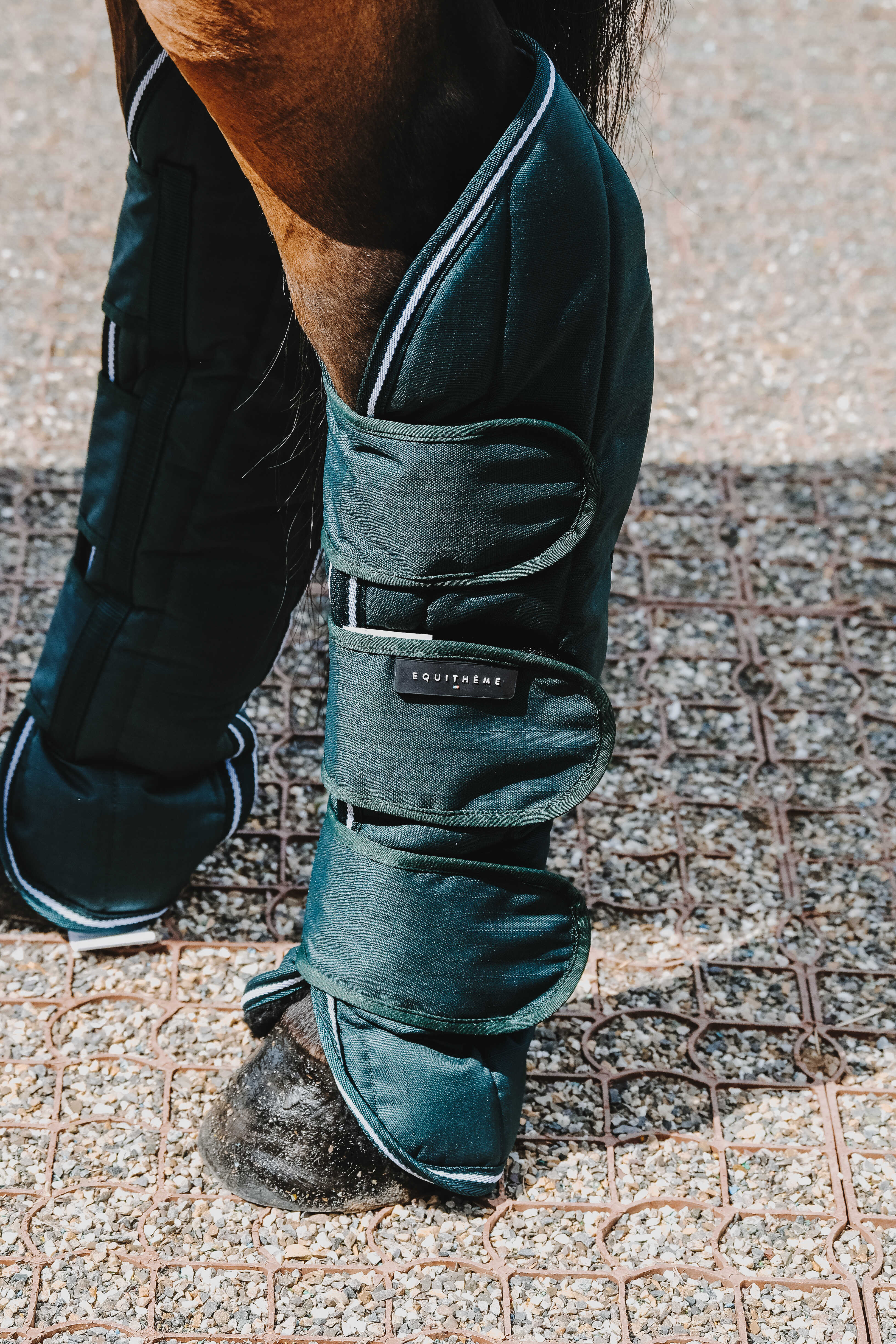 Equithème Tyrex 600 D Transportskydd Grön (Pony)