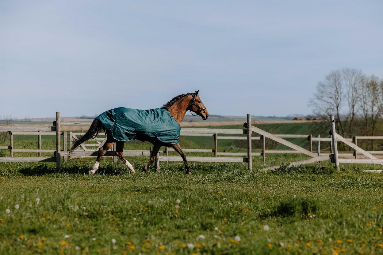 Equithème Tyrex 600 D Utetäcke Grön (6'6 - 150 cm)