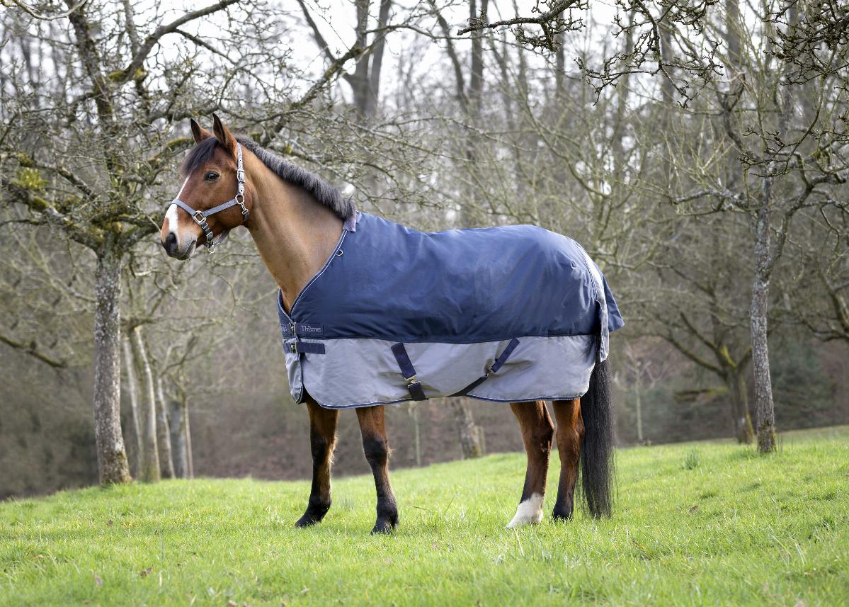 Equitheme Tyrex 600 D Turnout Rug, 300 g Green