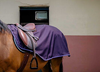 Equitheme Tyrex 600 D Fleece-Lined Exercise Sheet Plum
