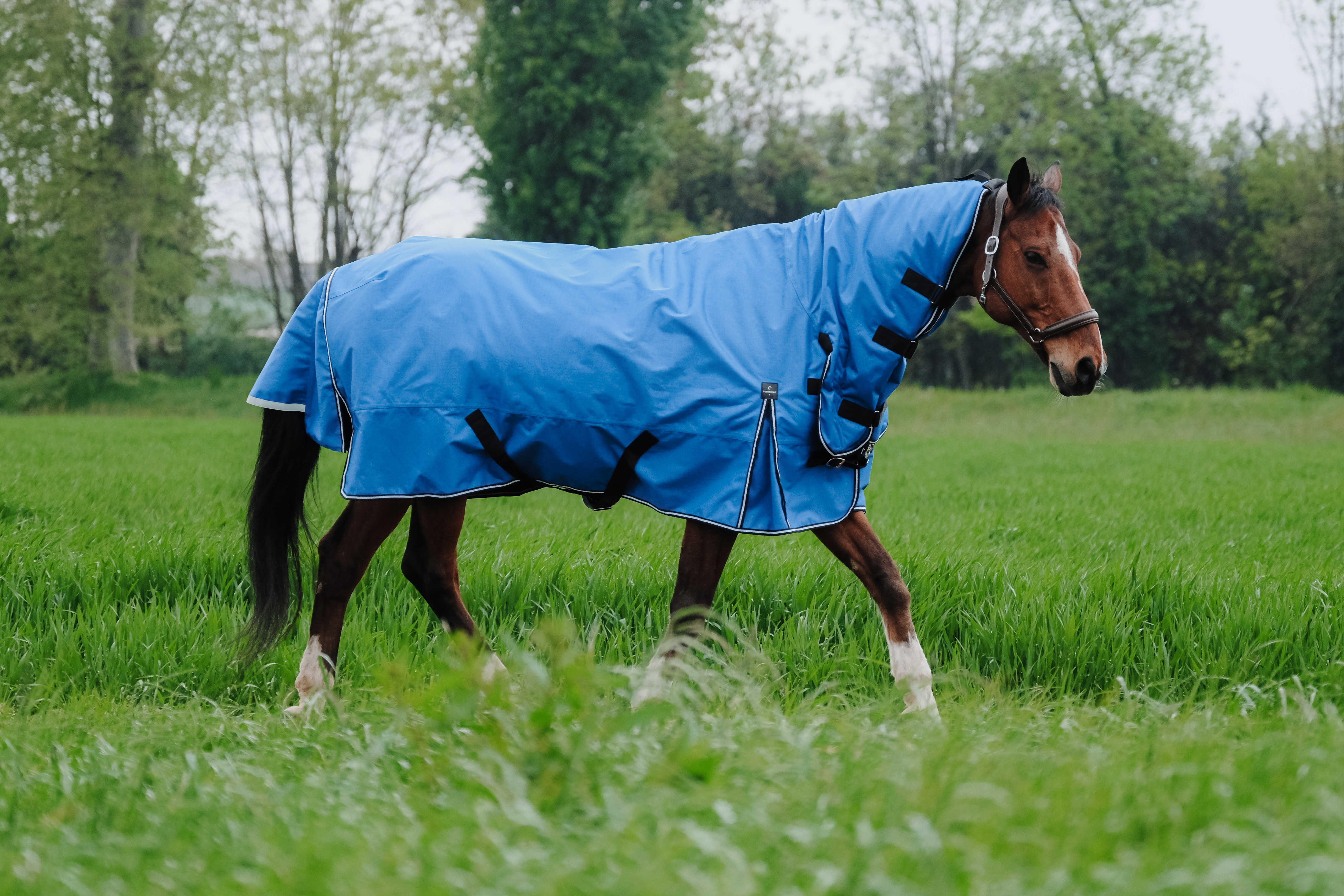 Equitheme Tyrex Aisance 1200 D Combo Turnout Rug with Fixed Neck, 100 g Royal blue - 3