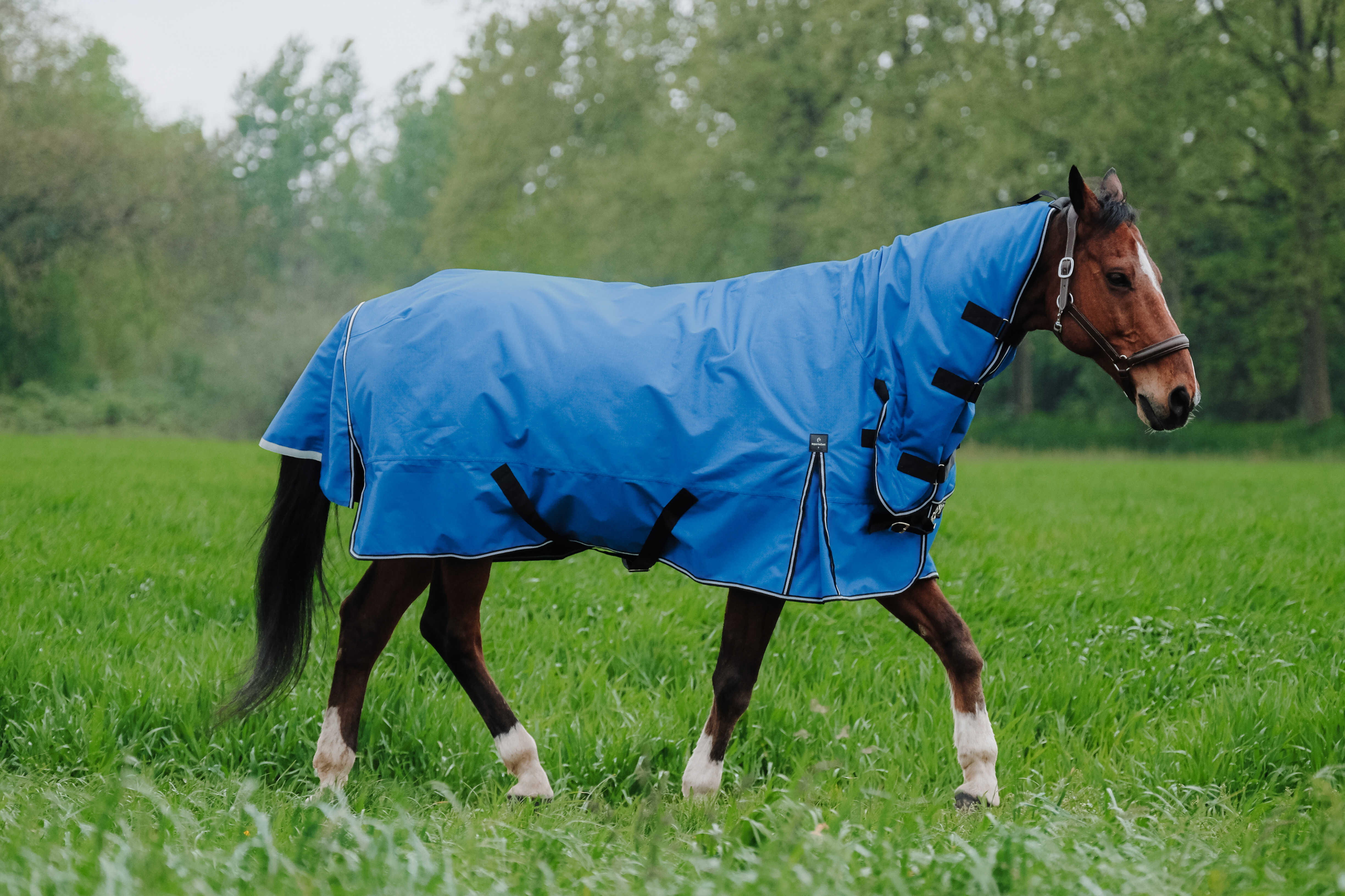 Equitheme Tyrex Aisance 1200 D Combo Turnout Rug with Fixed Neck, 100 g Royal blue - 2