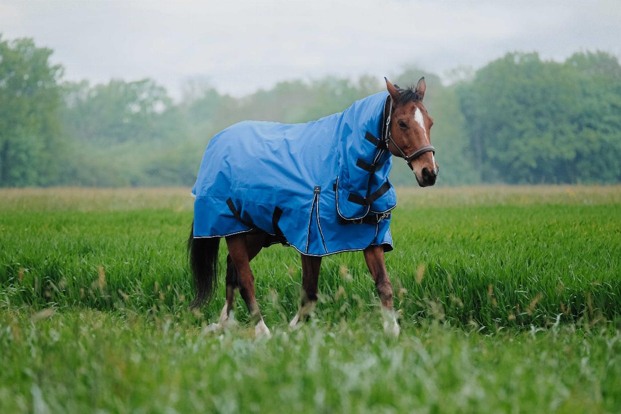 Equitheme Tyrex Aisance 1200 D Combo Turnout Rug with Fixed Neck, 100 g Royal blue