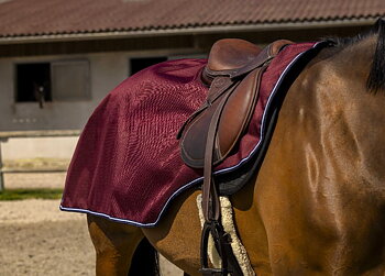 Equitheme Tyrex Aisance 1200 D Exercise Sheet Burgundy