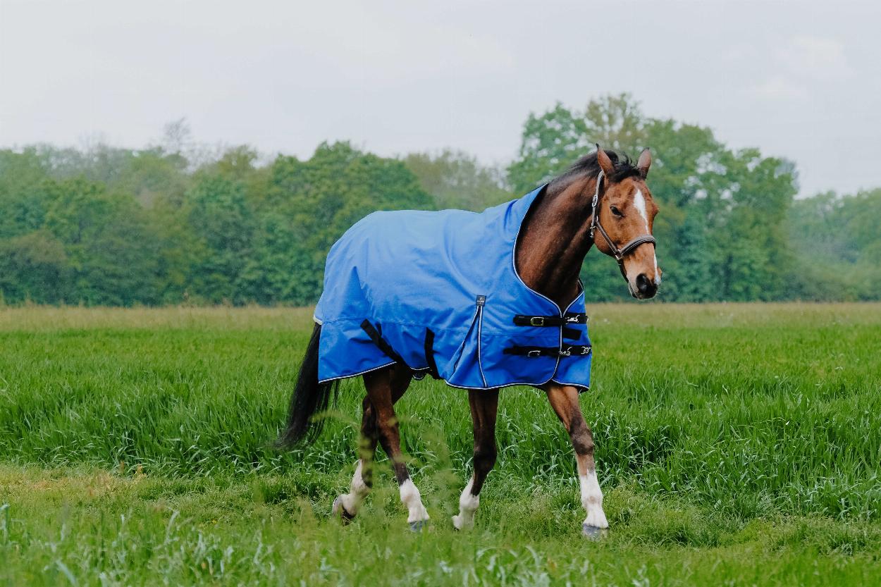 Equitheme Tyrex Aisance 1200 D High Neck Turnout Rug with Half Neck Royal blue