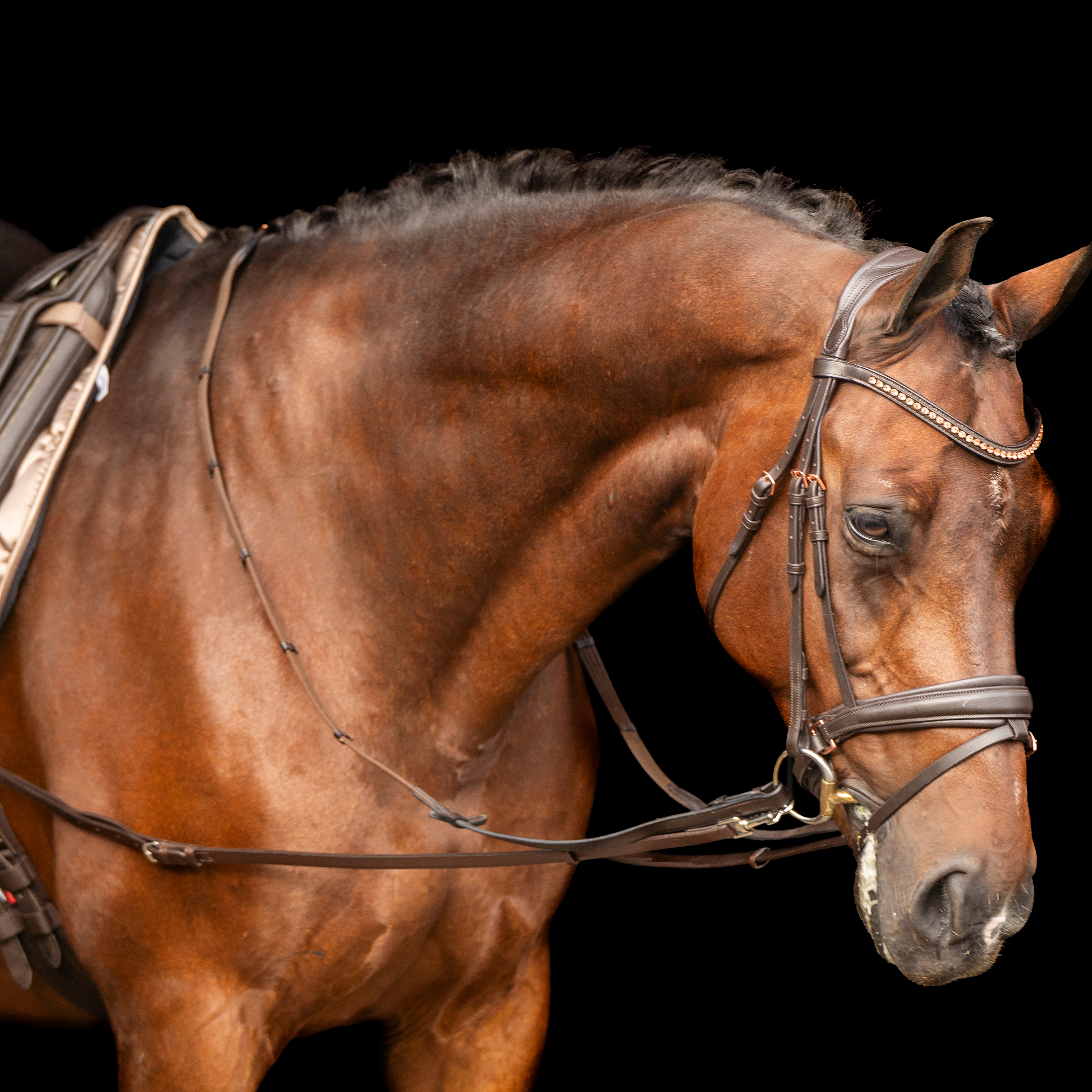 Imperial Riding Side reins leather Core Brown - 2