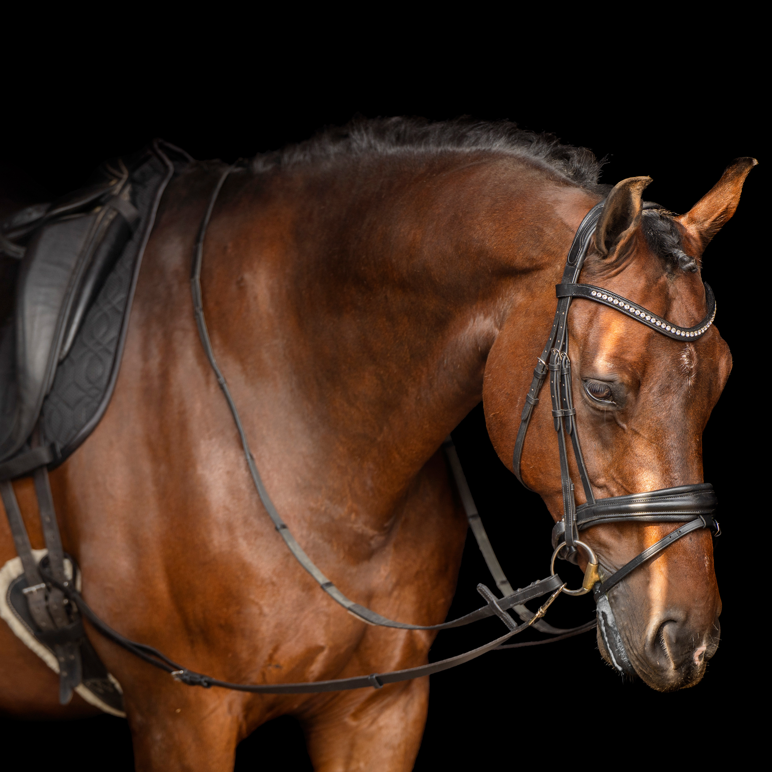 Imperial Riding Side reins leather Core Black - 2
