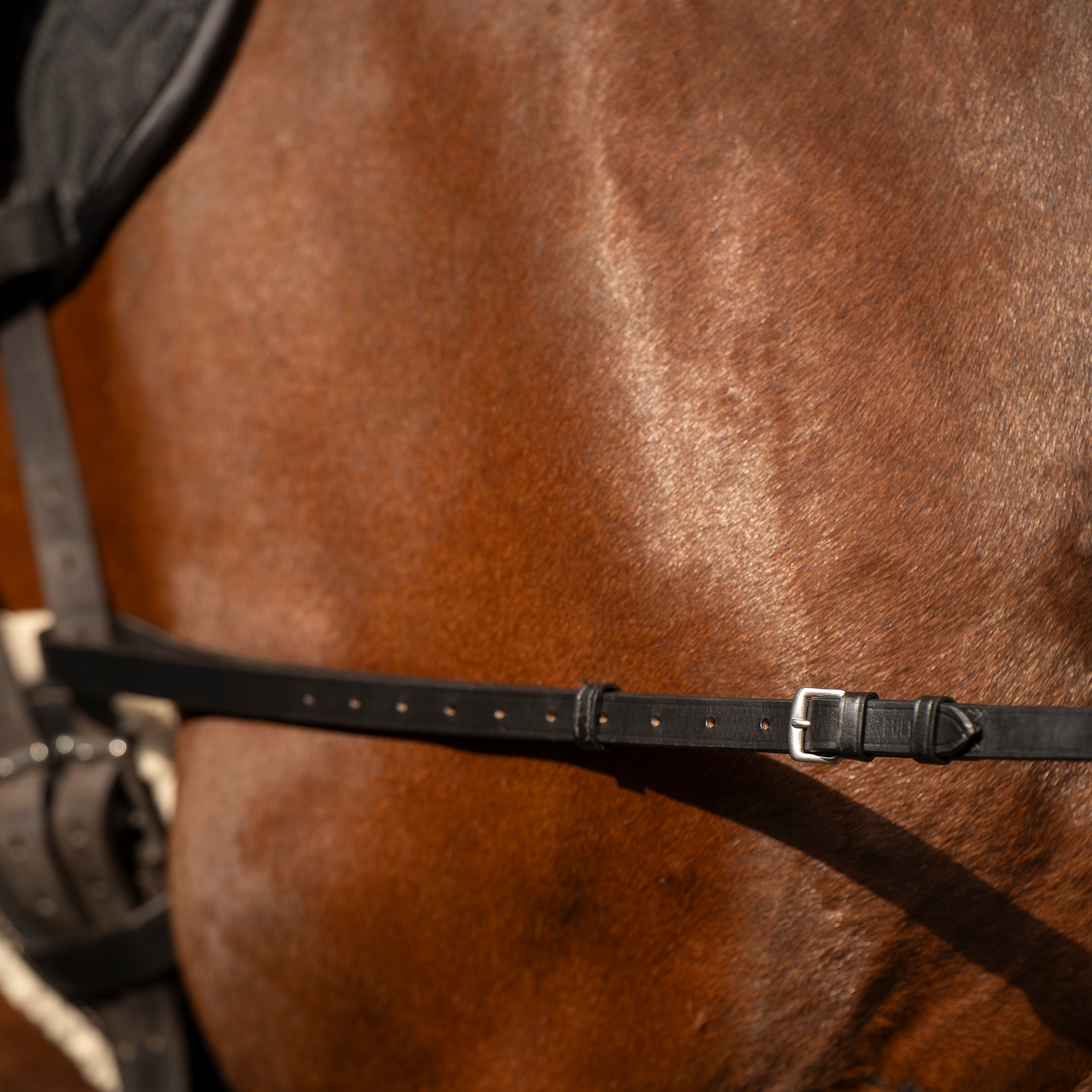 Imperial Riding Side reins leather Core Black - 3