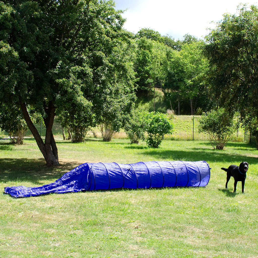 Globus Agility Sack tunnel Dog training 3 + 2 m x 60cm