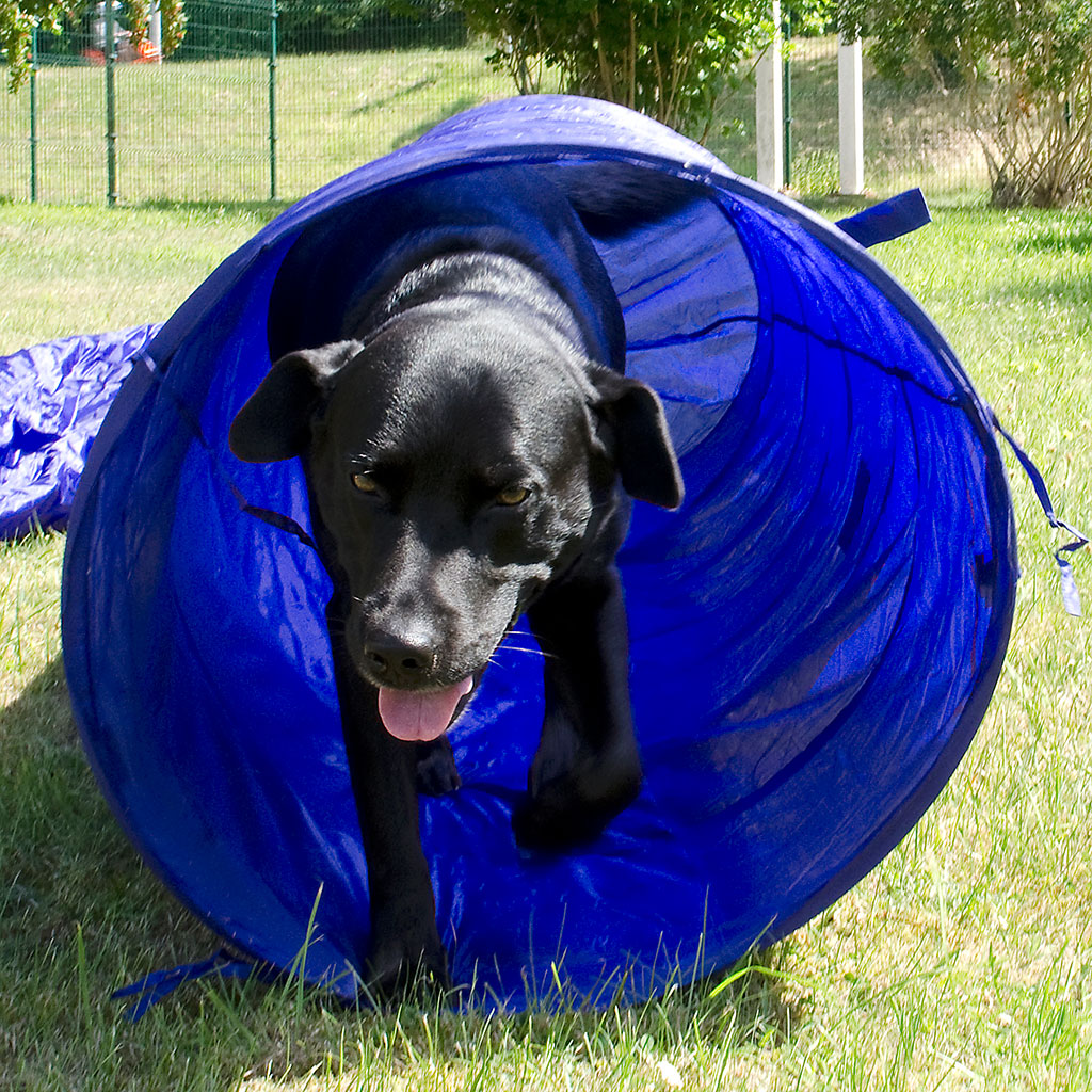 Globus Agility Sack tunnel 3 + 2 m x 60cm - 4