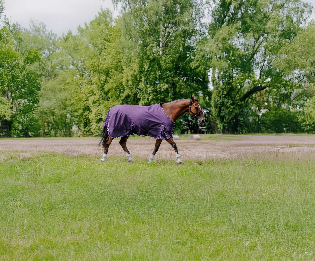 Equitheme Tyrex Aisance 600 D Turnout Rug, 300 g Plum