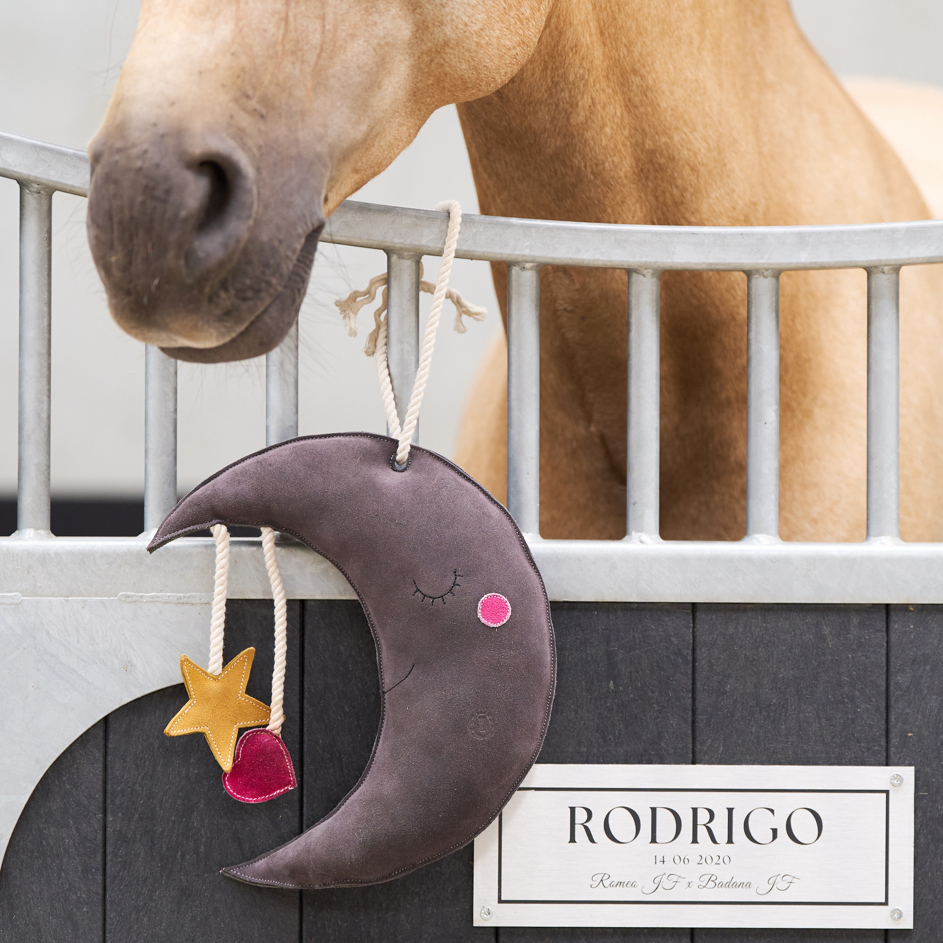 Imperial Riding Stallfreund Moony - Grau - 3