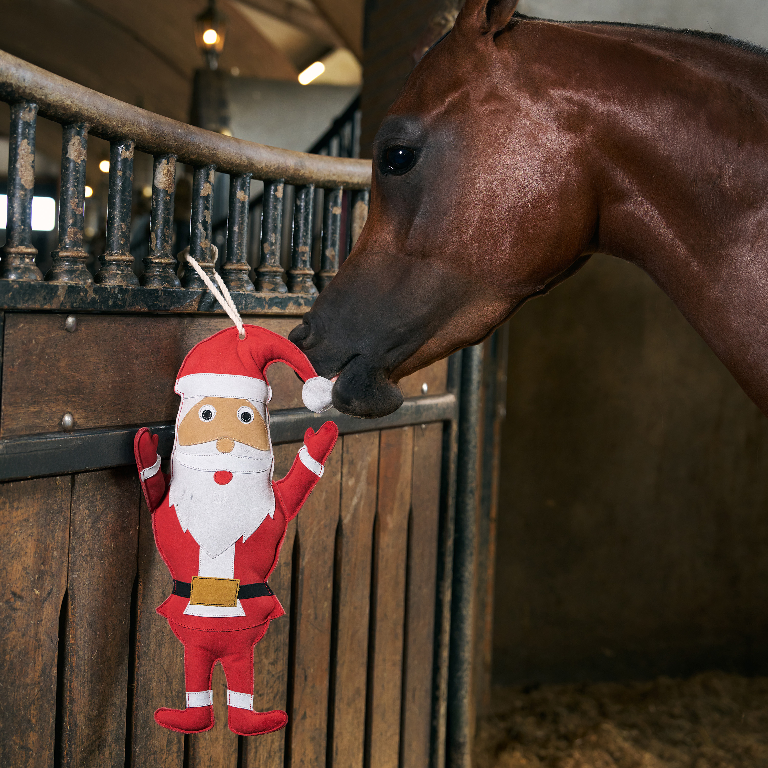 Imperial Riding Stallfreund Santa - Rot - 3