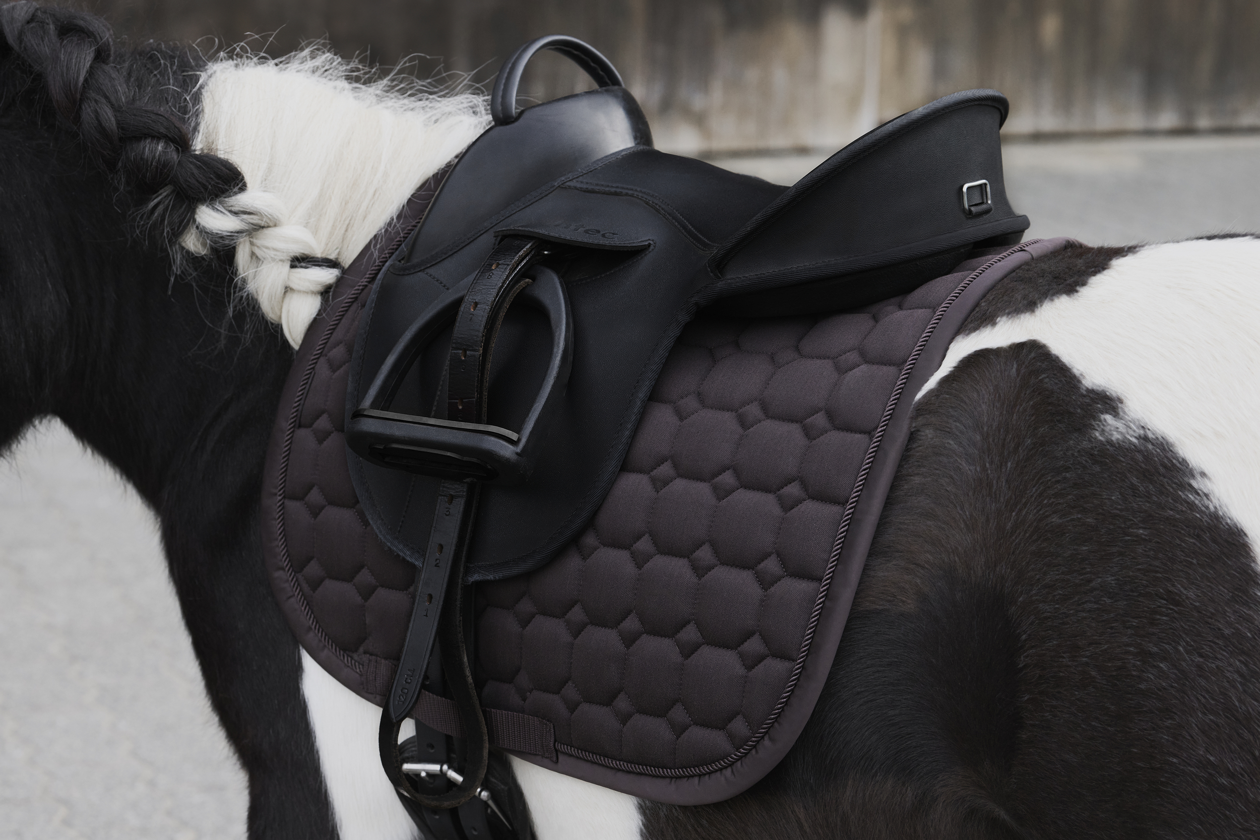 Eskadron Platinum 24 Cotton Glitter Shetty Saddle Pad - Teak Brown   - only this copy - 2