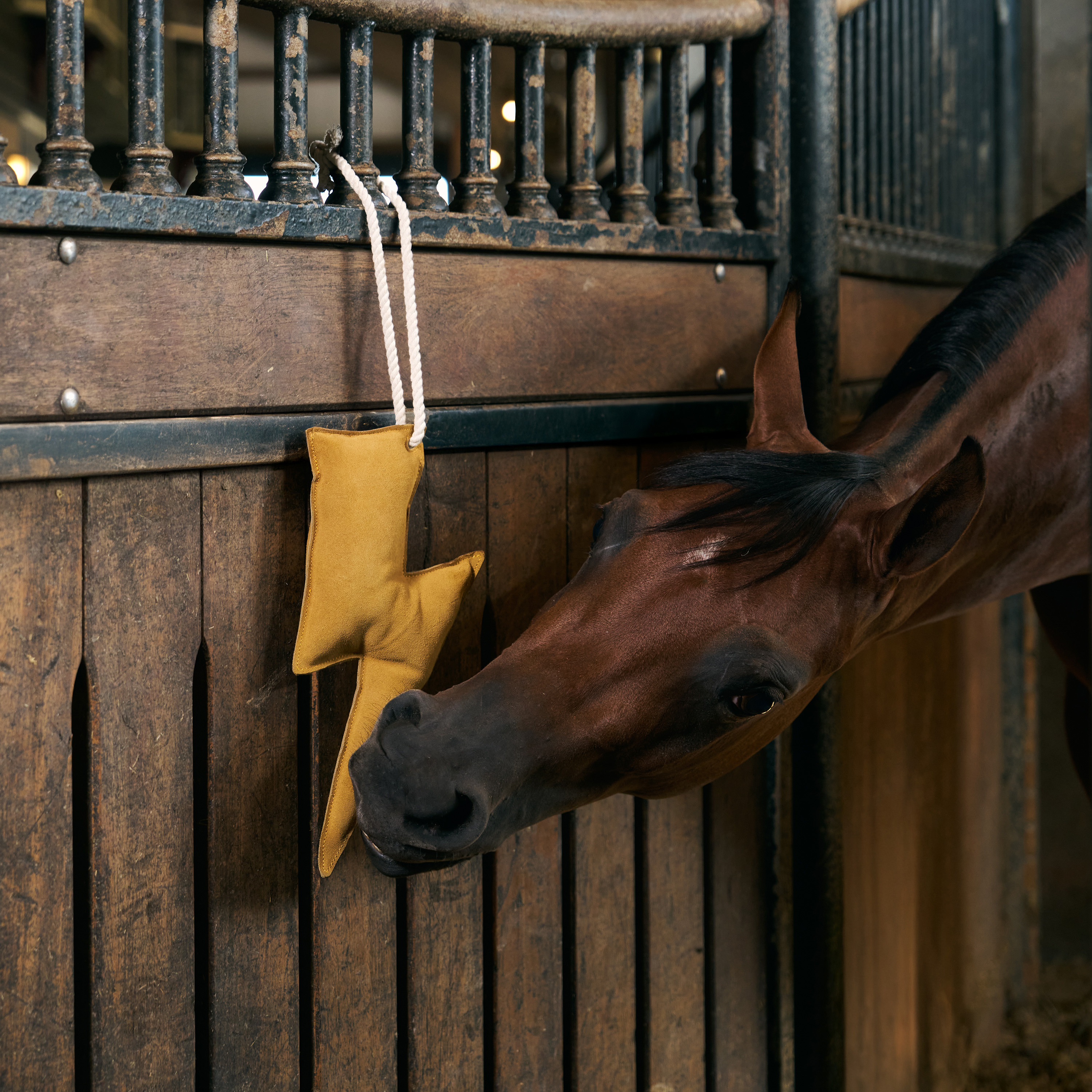 Imperial Riding Stable buddy Lightning bolt - Yellow - 3