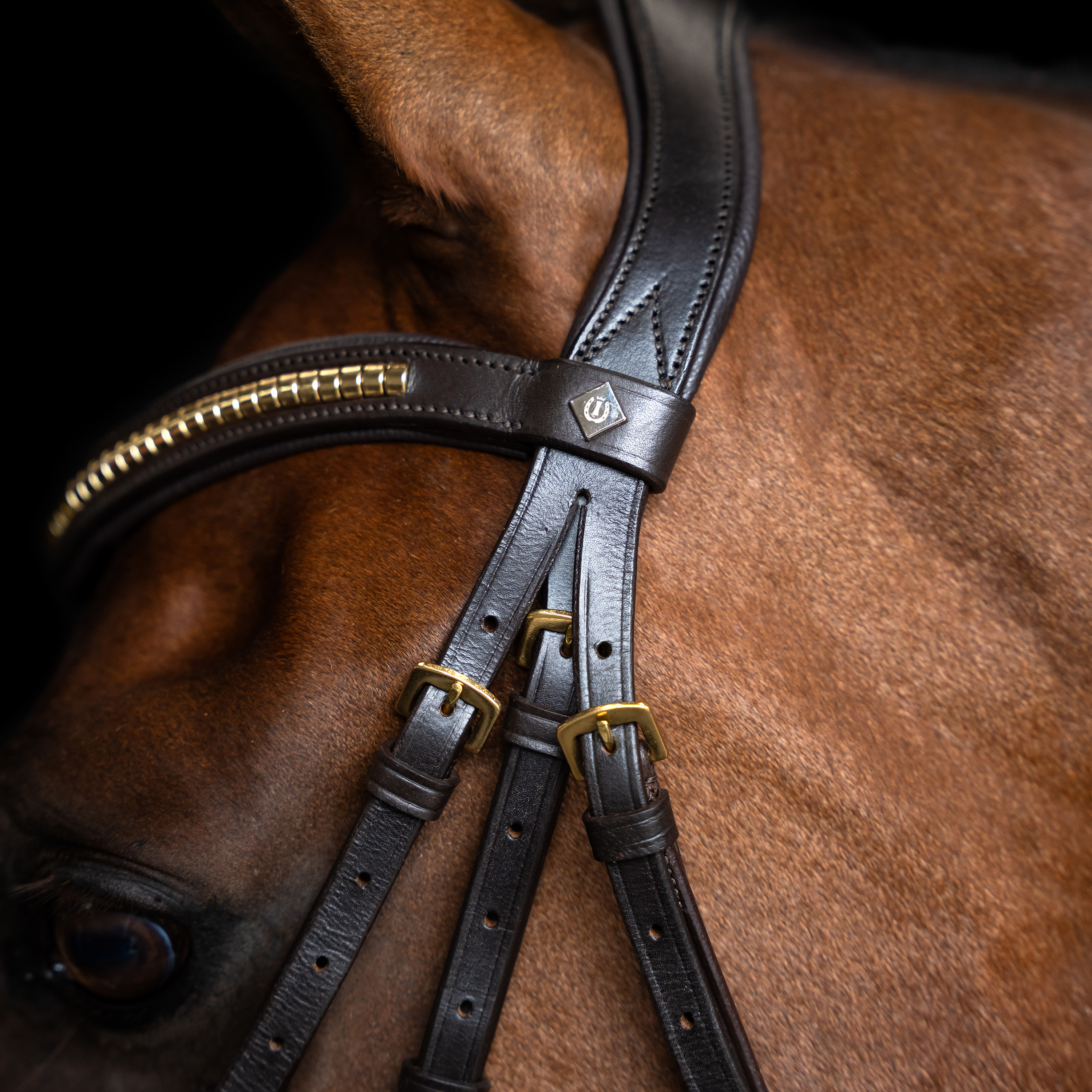 Imperial Riding Bridle Mexican - Dark brown - 3