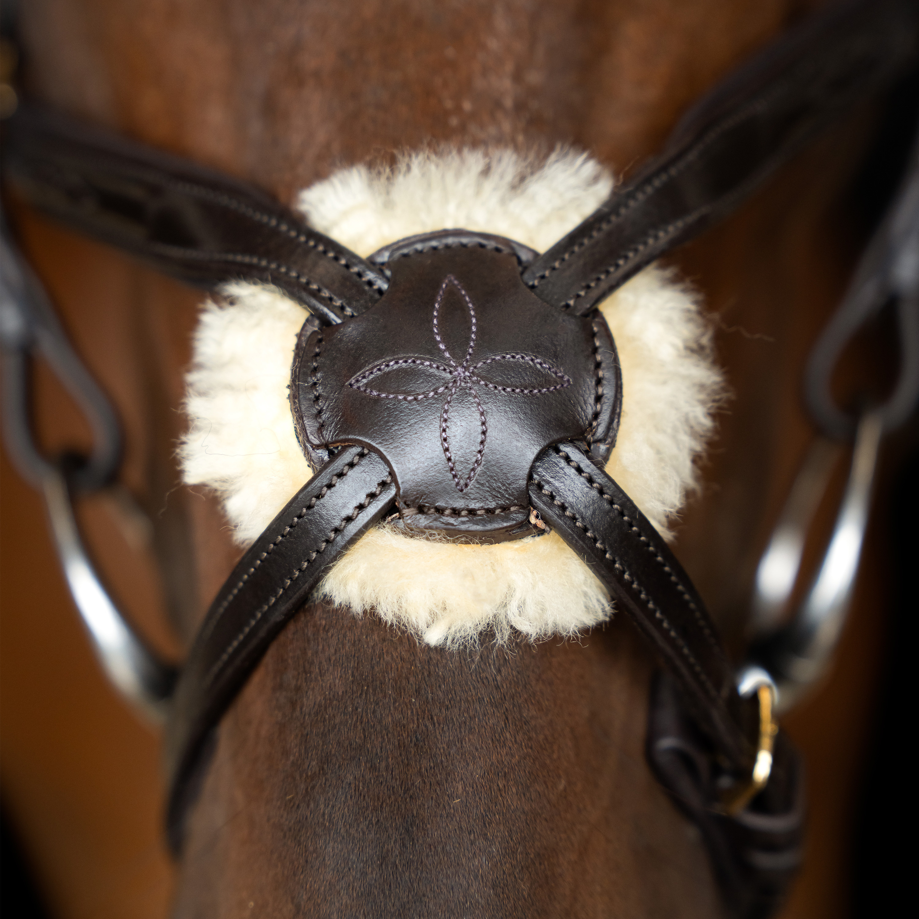 Imperial Riding Bridle Mexican - Dark brown - 6