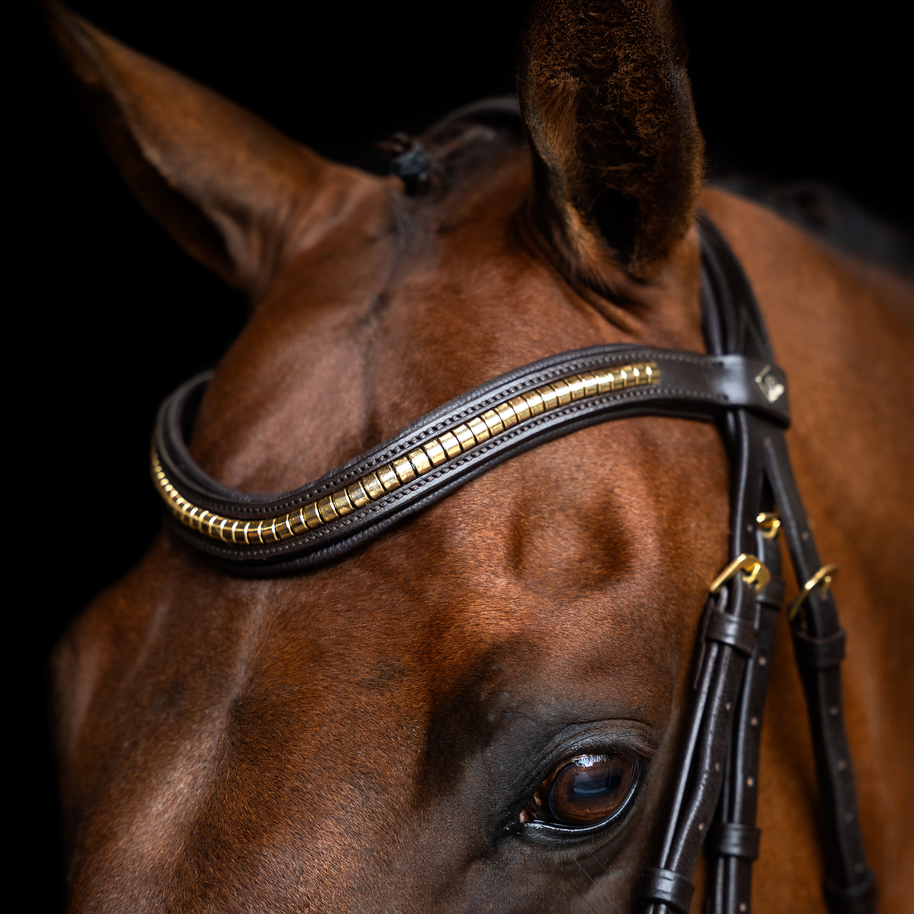 Imperial Riding Bridle Mexican - Dark brown - 2