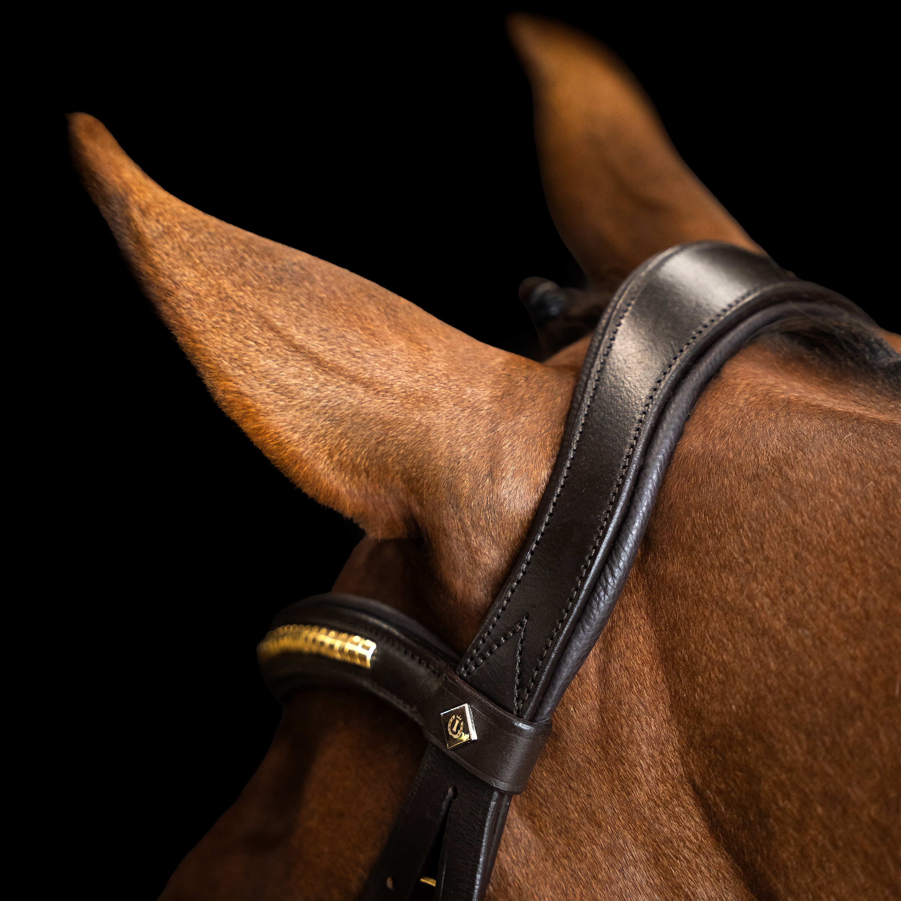 Imperial Riding Bridle Mexican - Dark brown - 5