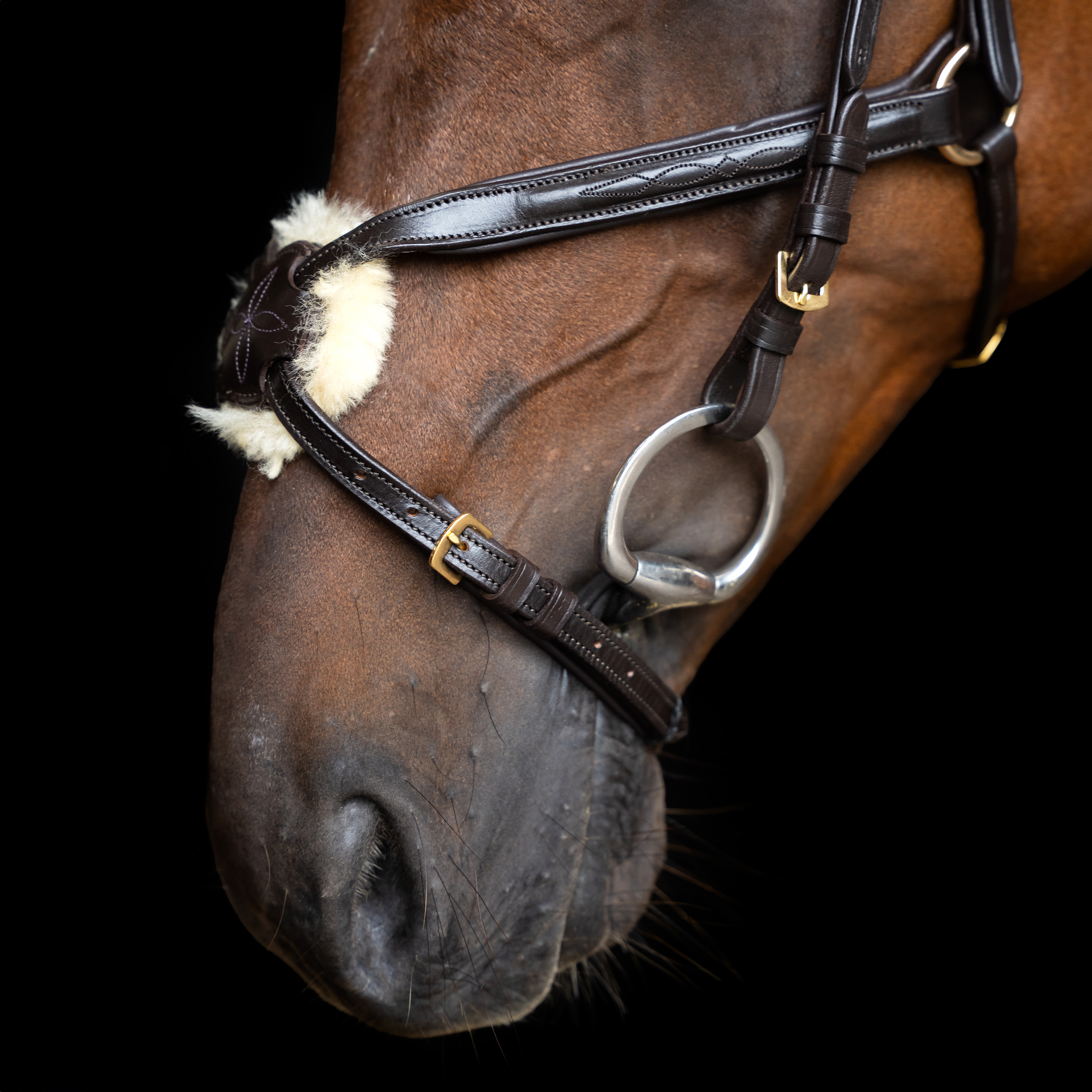 Imperial Riding Bridle Mexican - Dark brown - 4