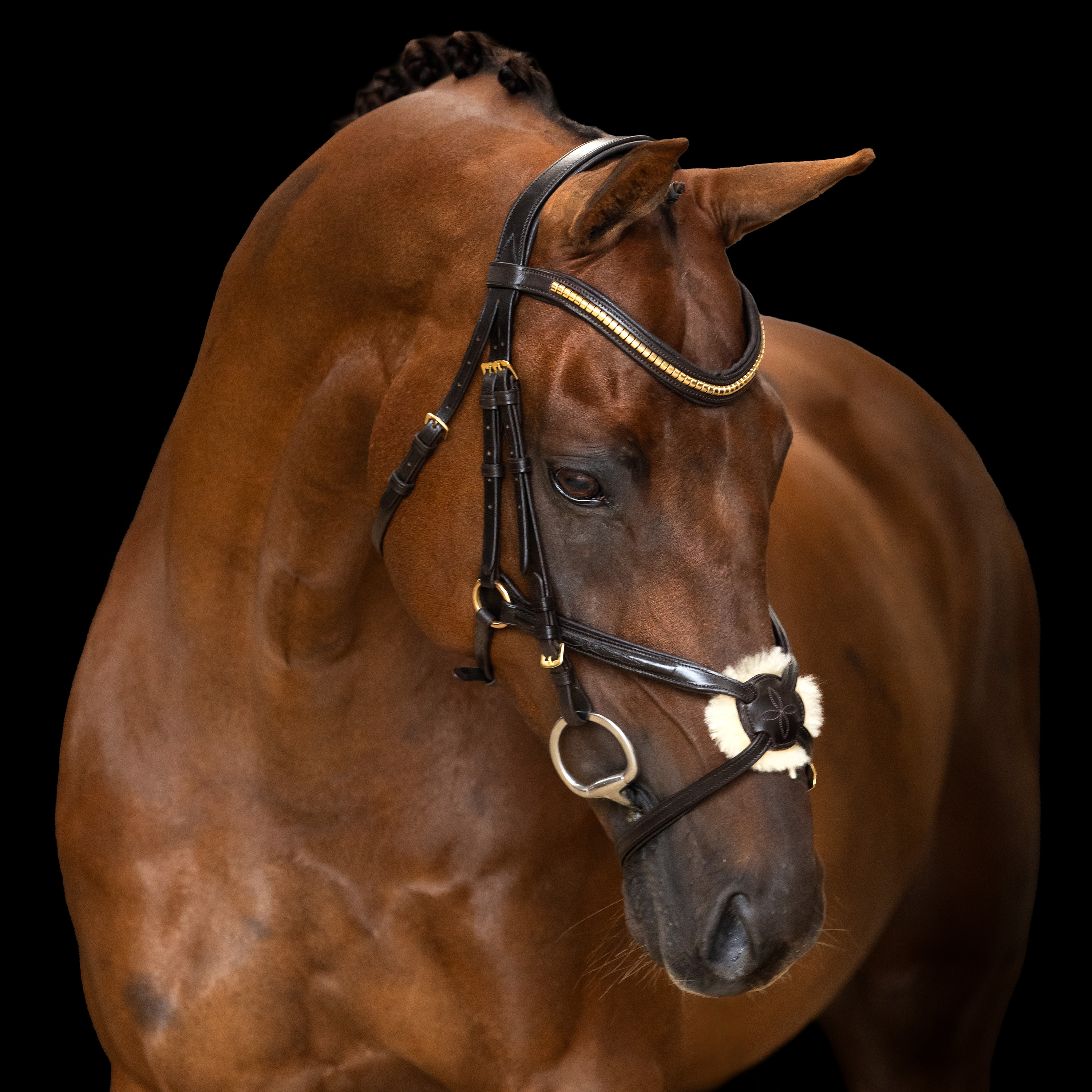 Imperial Riding Bridle Mexican - Dark brown