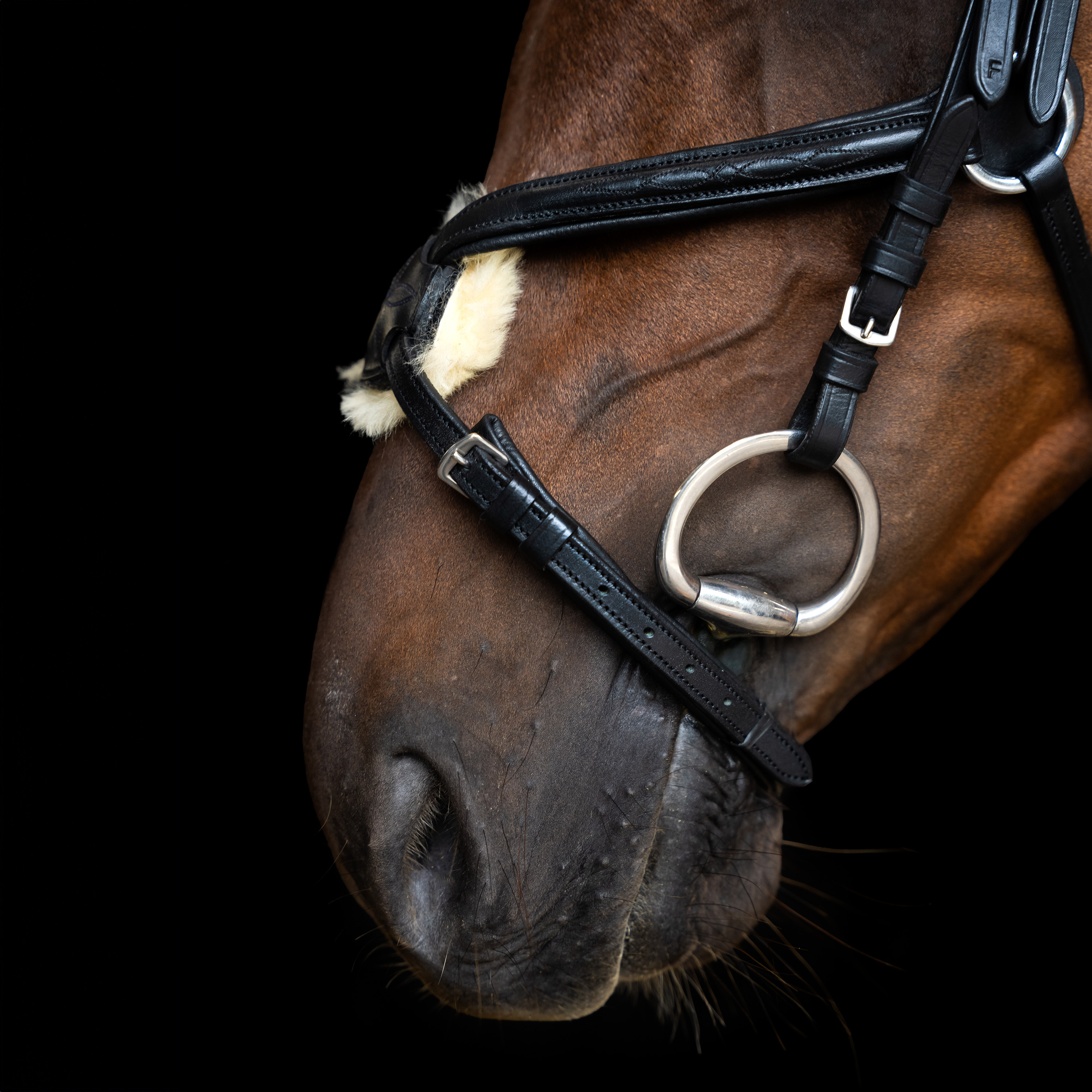 Imperial Riding Bridle Mexican - Black - 4