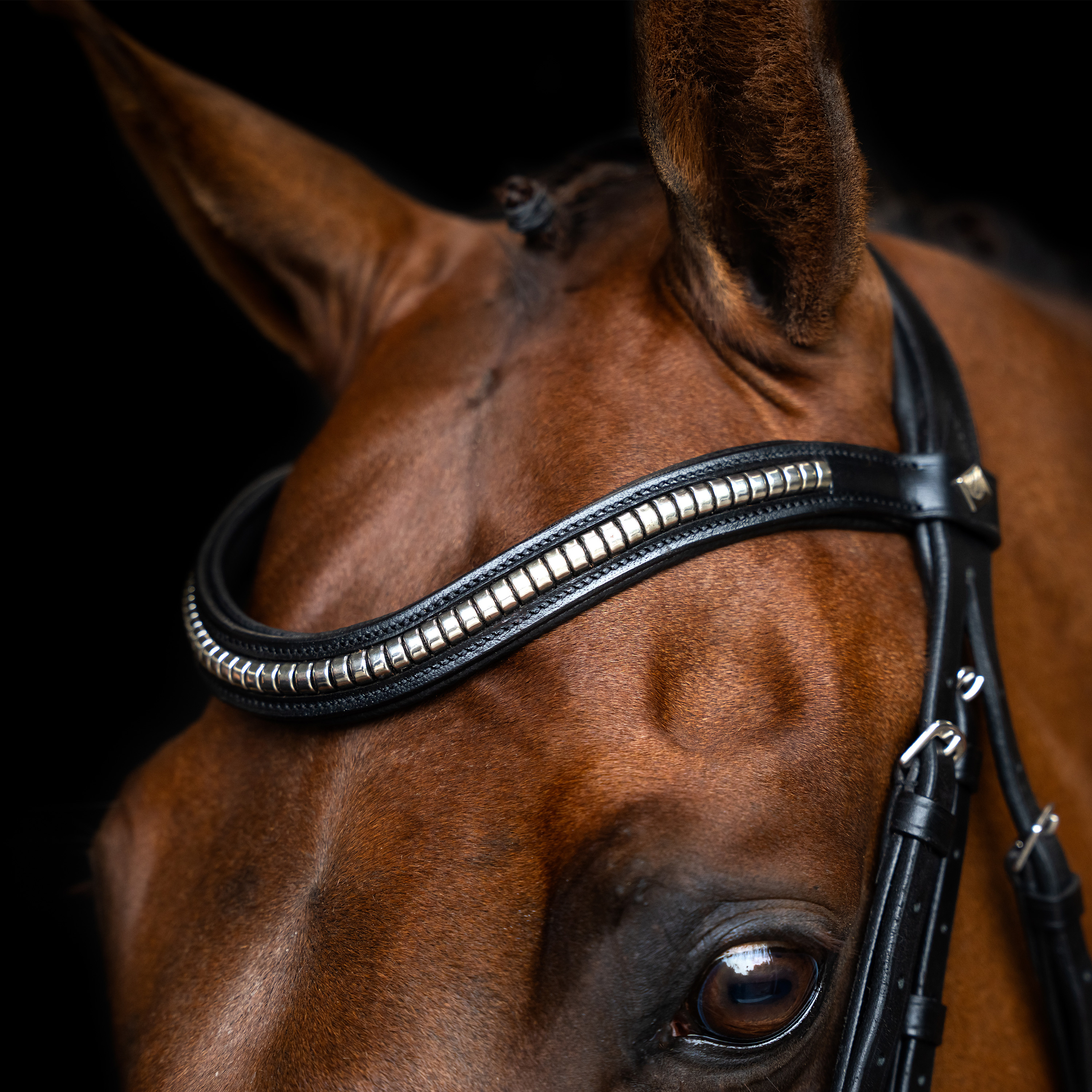 Imperial Riding Bridle Mexican - Black - 2