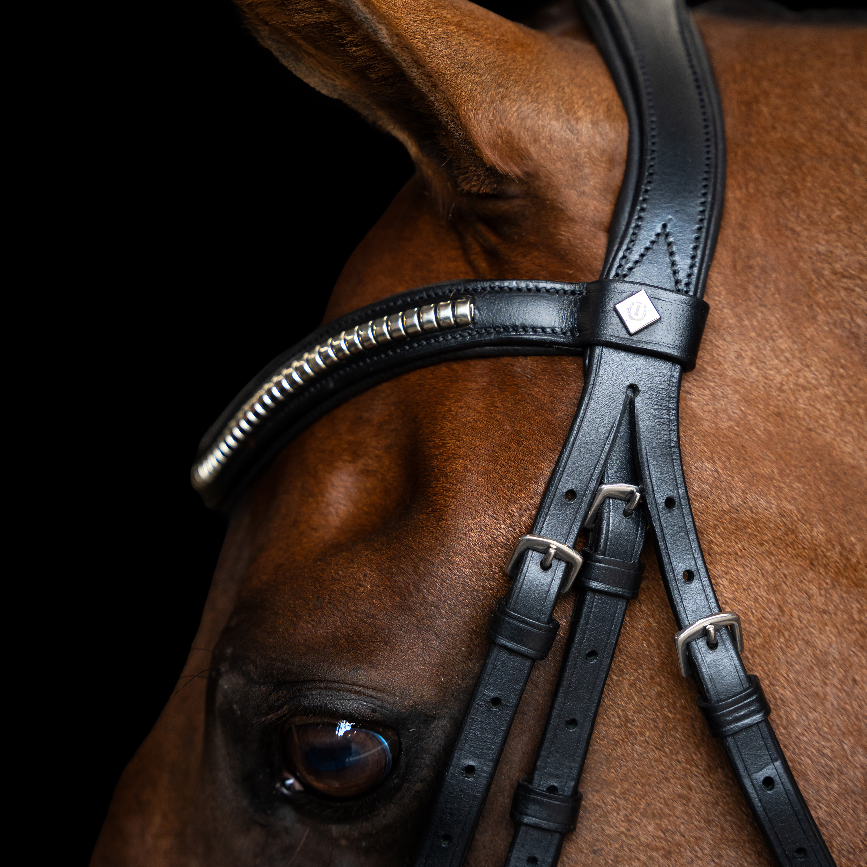 Imperial Riding Bridle Mexican - Black - 3