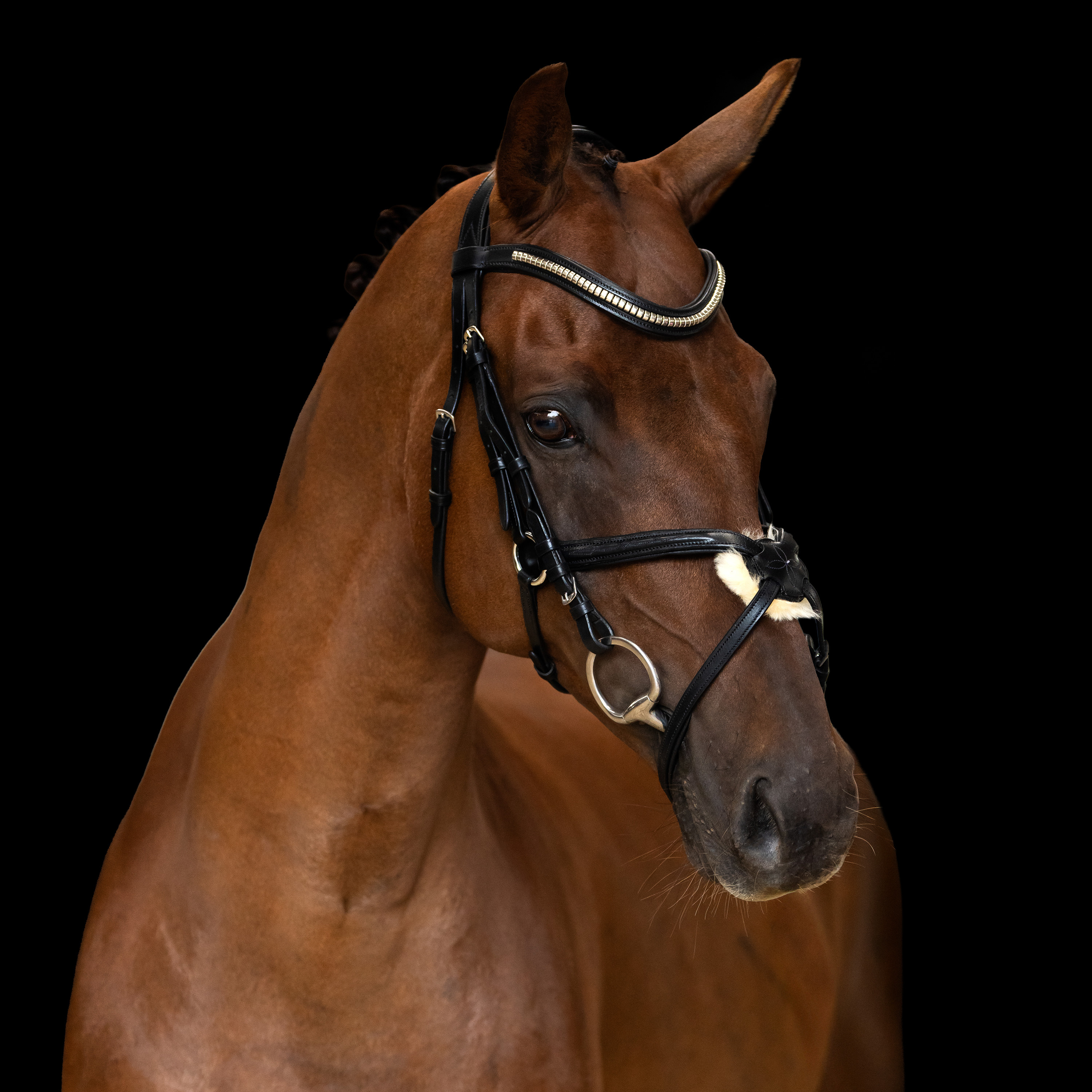 Imperial Riding Bridle Mexican - Black