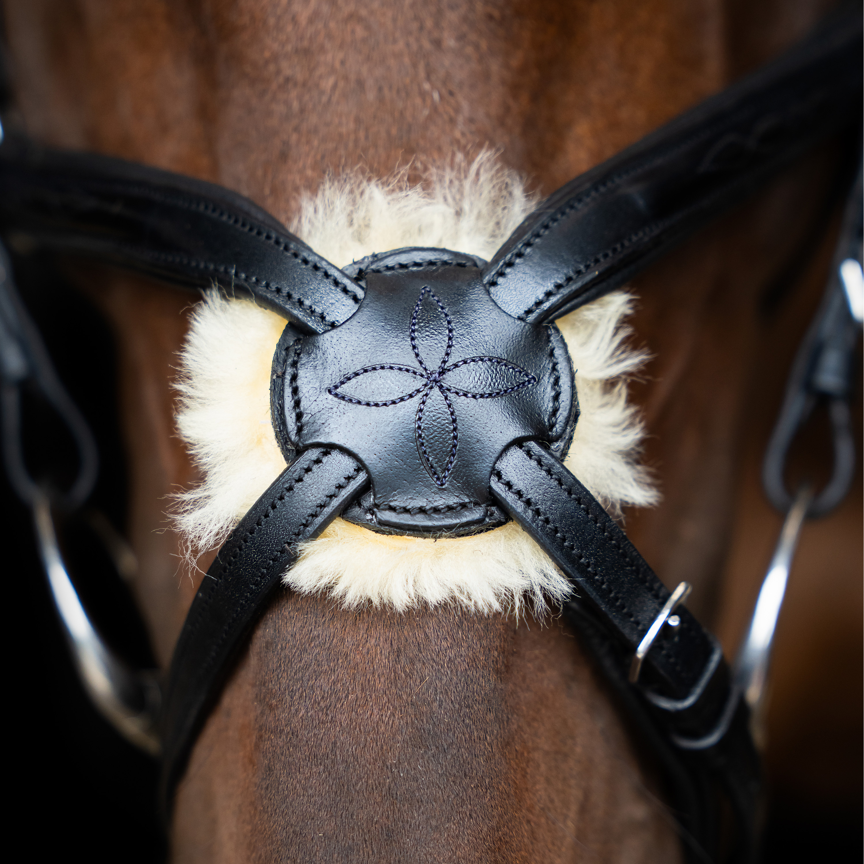 Imperial Riding Bridle Mexican - Black - 6