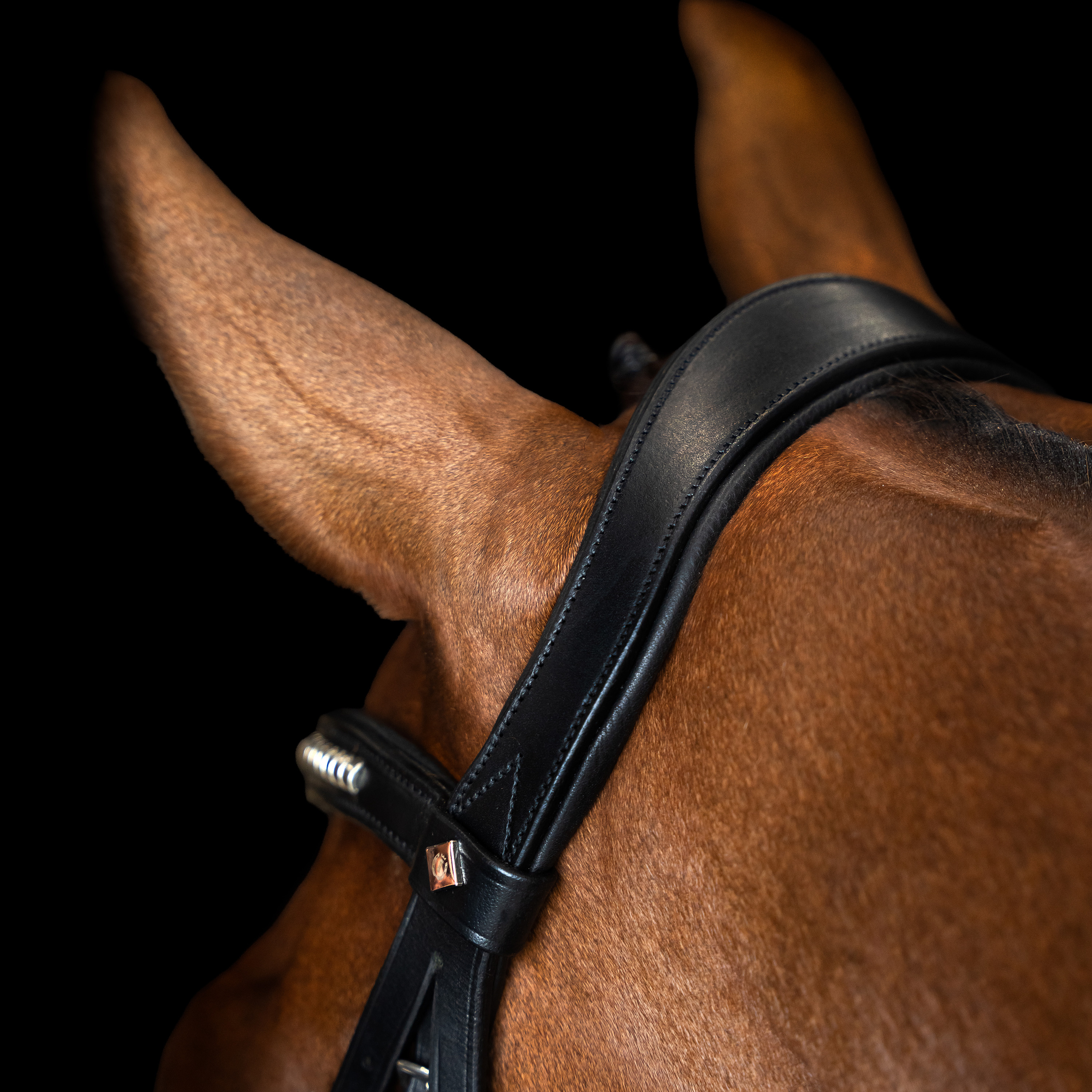 Imperial Riding Bridle Mexican - Black - 5