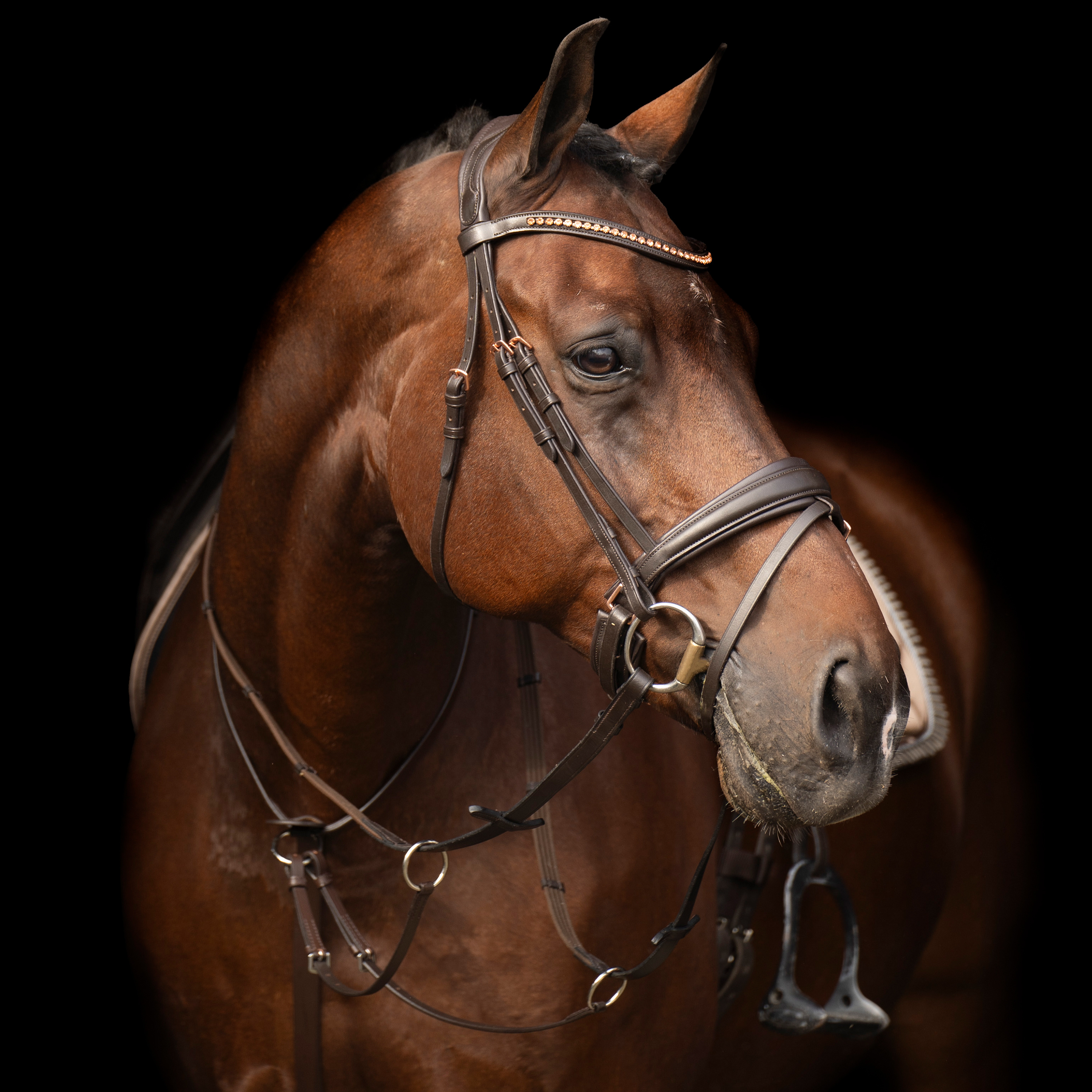 Imperial Riding Martingale Core - Brown - 2