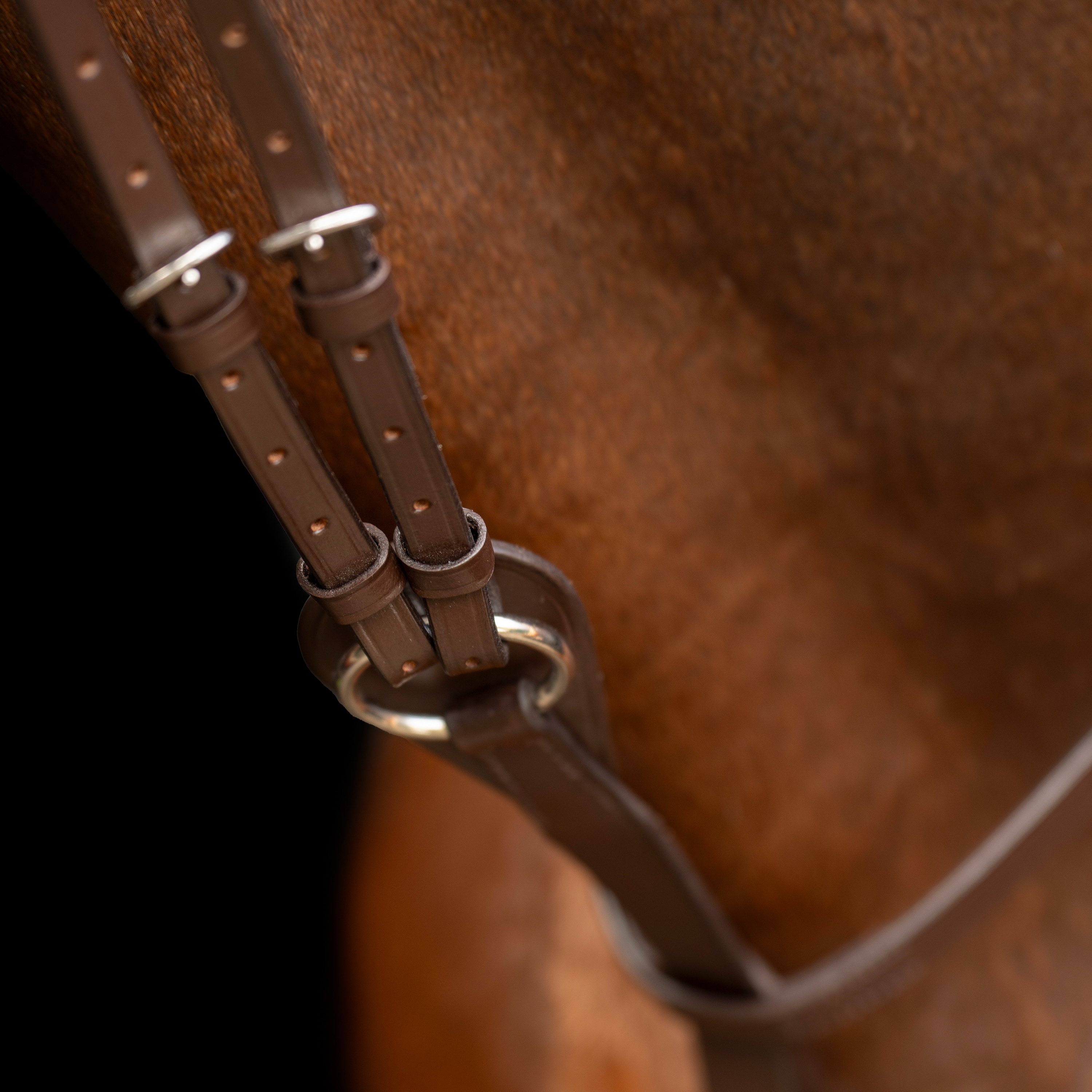 Imperial Riding Martingale Core - Brown - 4