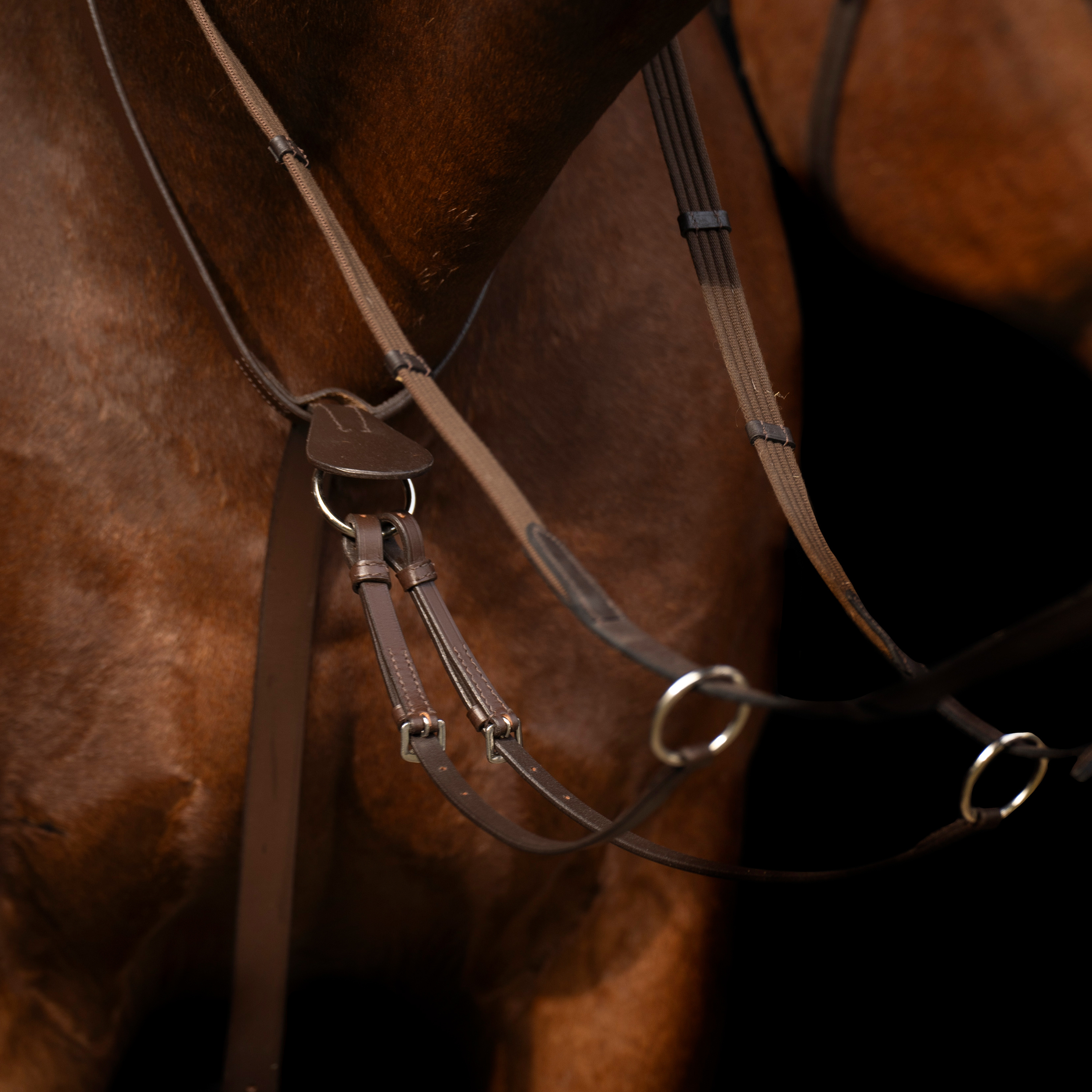 Imperial Riding Martingale Core - Brown - 3