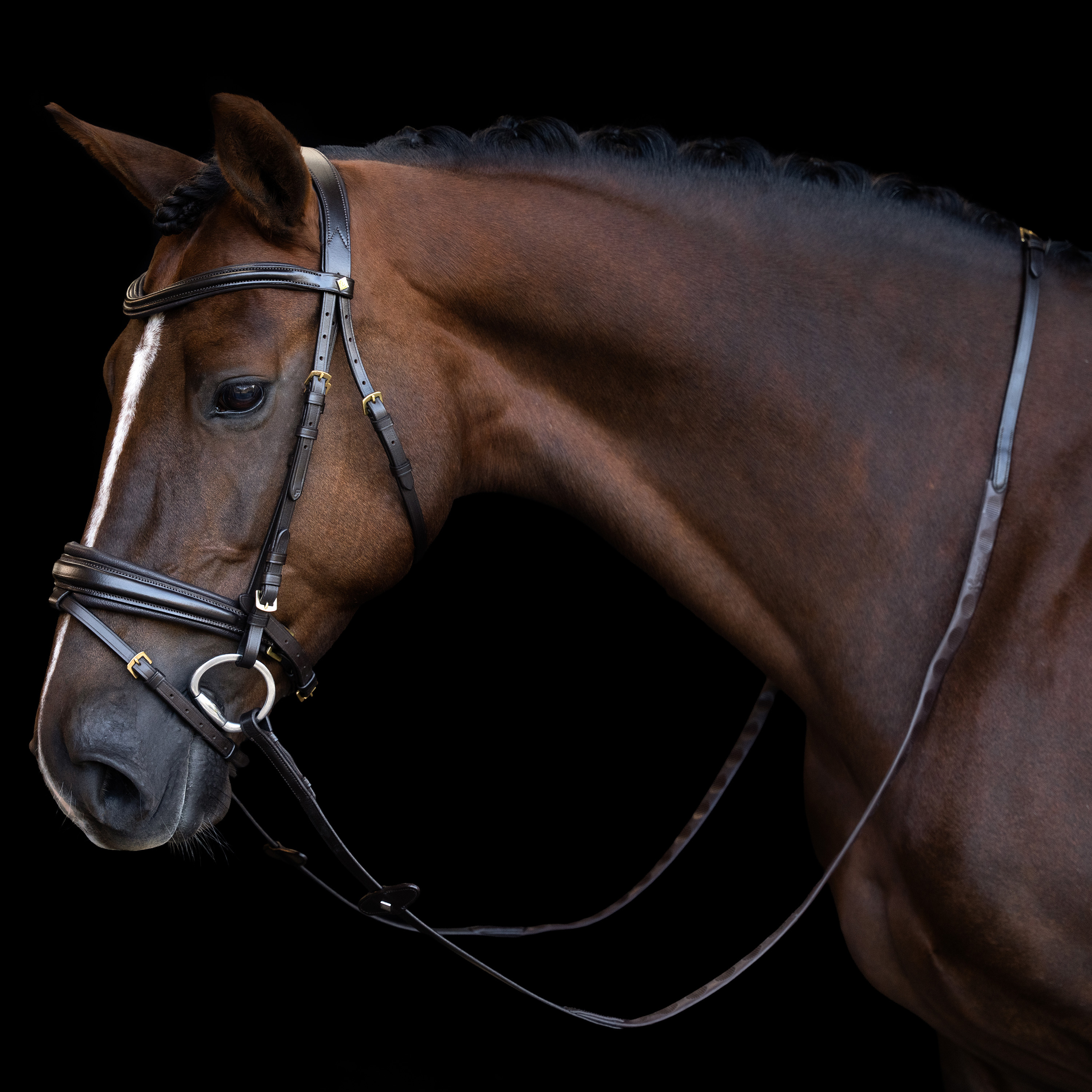 Imperial Riding Reins rubber with thumb grip - Dark brown