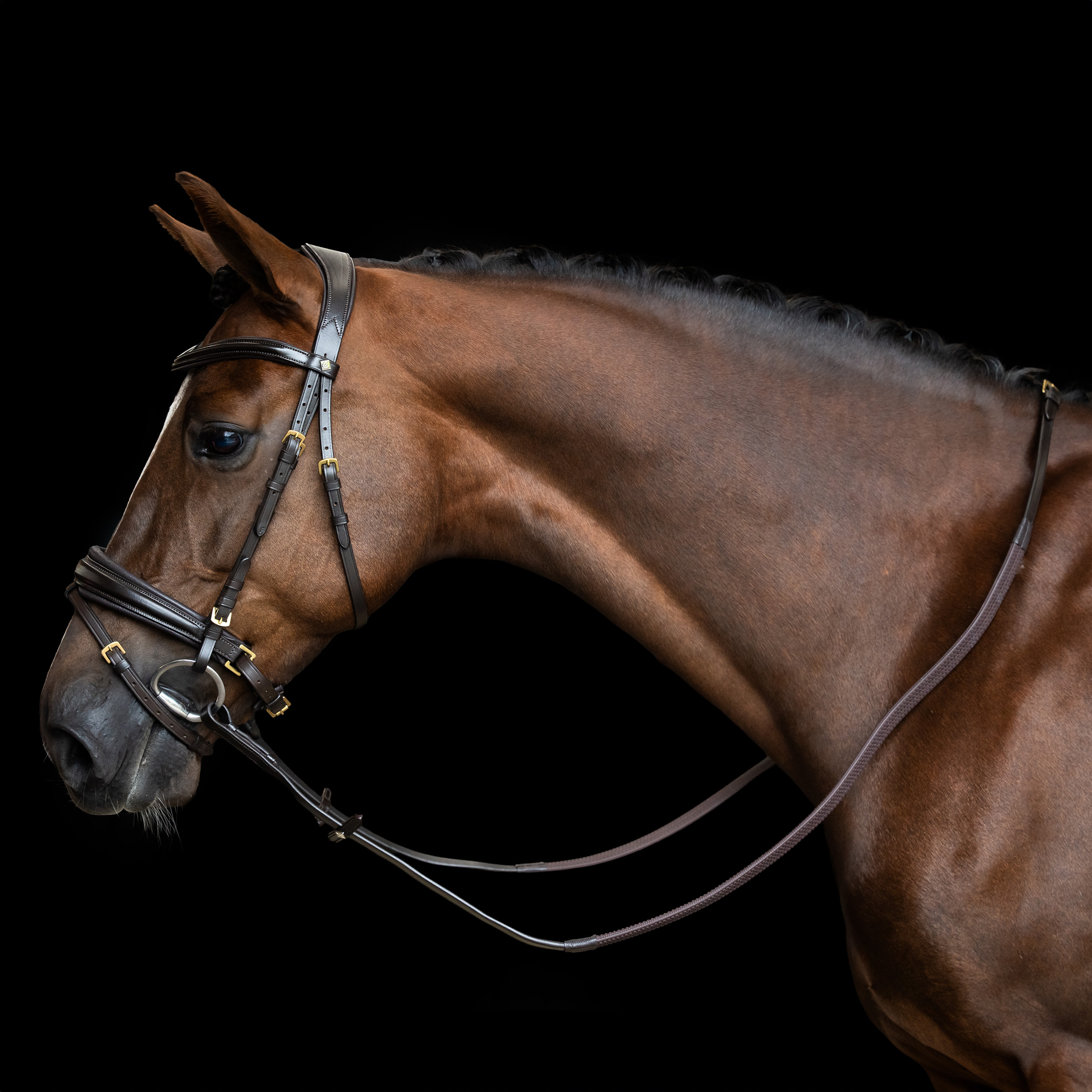 Imperial Riding Reins rubber with nylon insert - Dark brown