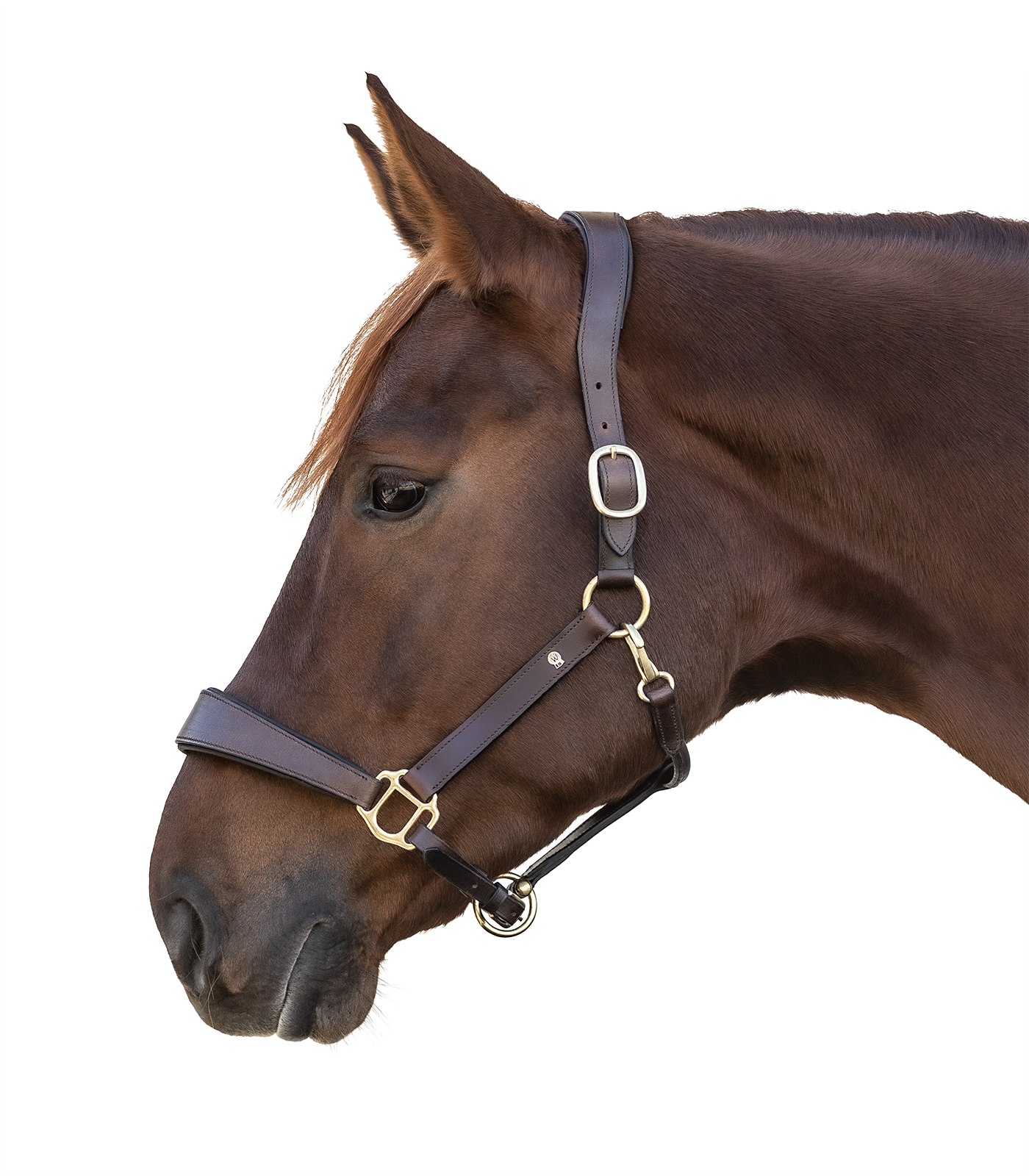 Waldhausen X-Line Anatomisk Lädergrimma brun (Cob)