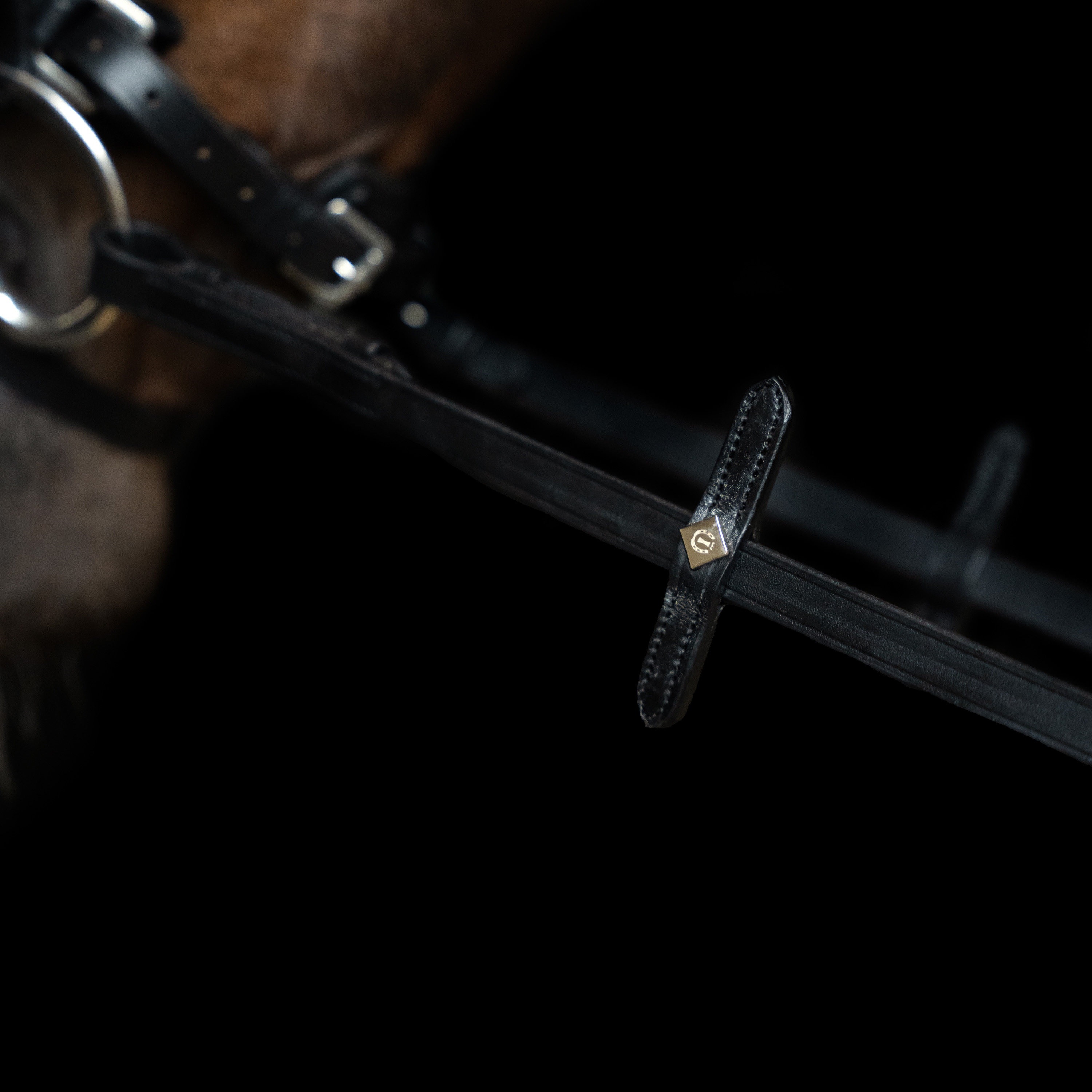 Imperial Riding Tyglar slät läder - Svart - 2