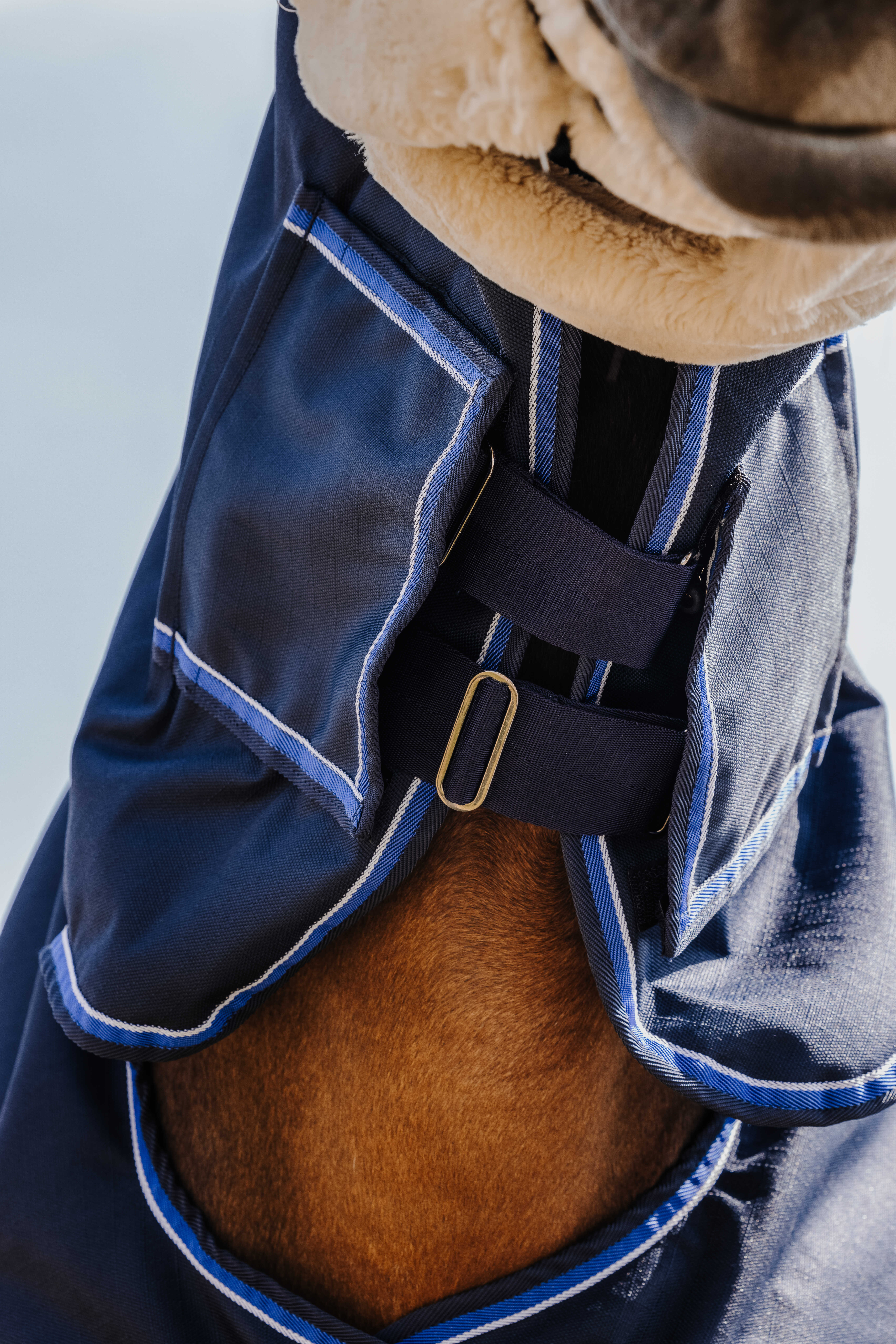 Equitheme Classic 1200 D Combo Turnout Rug with Fixed Neck, 100 g Navy blue - 3
