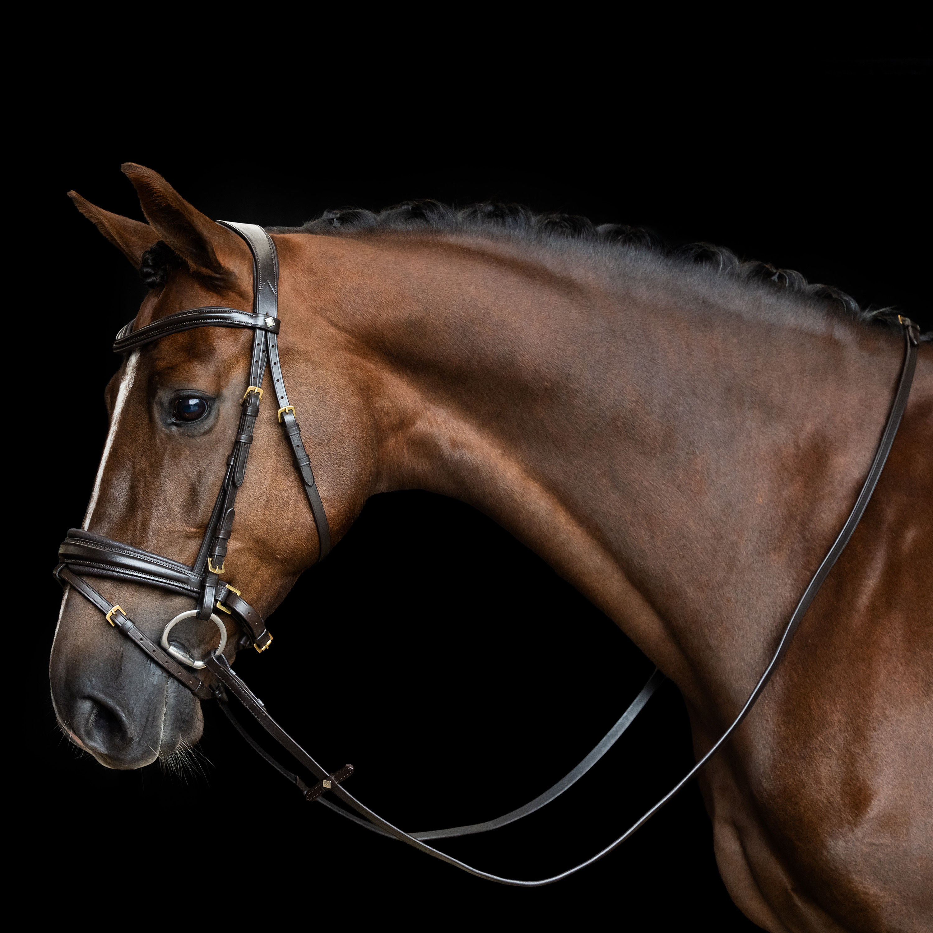 Imperial Riding Tyglar slät läder - Mörkbrun