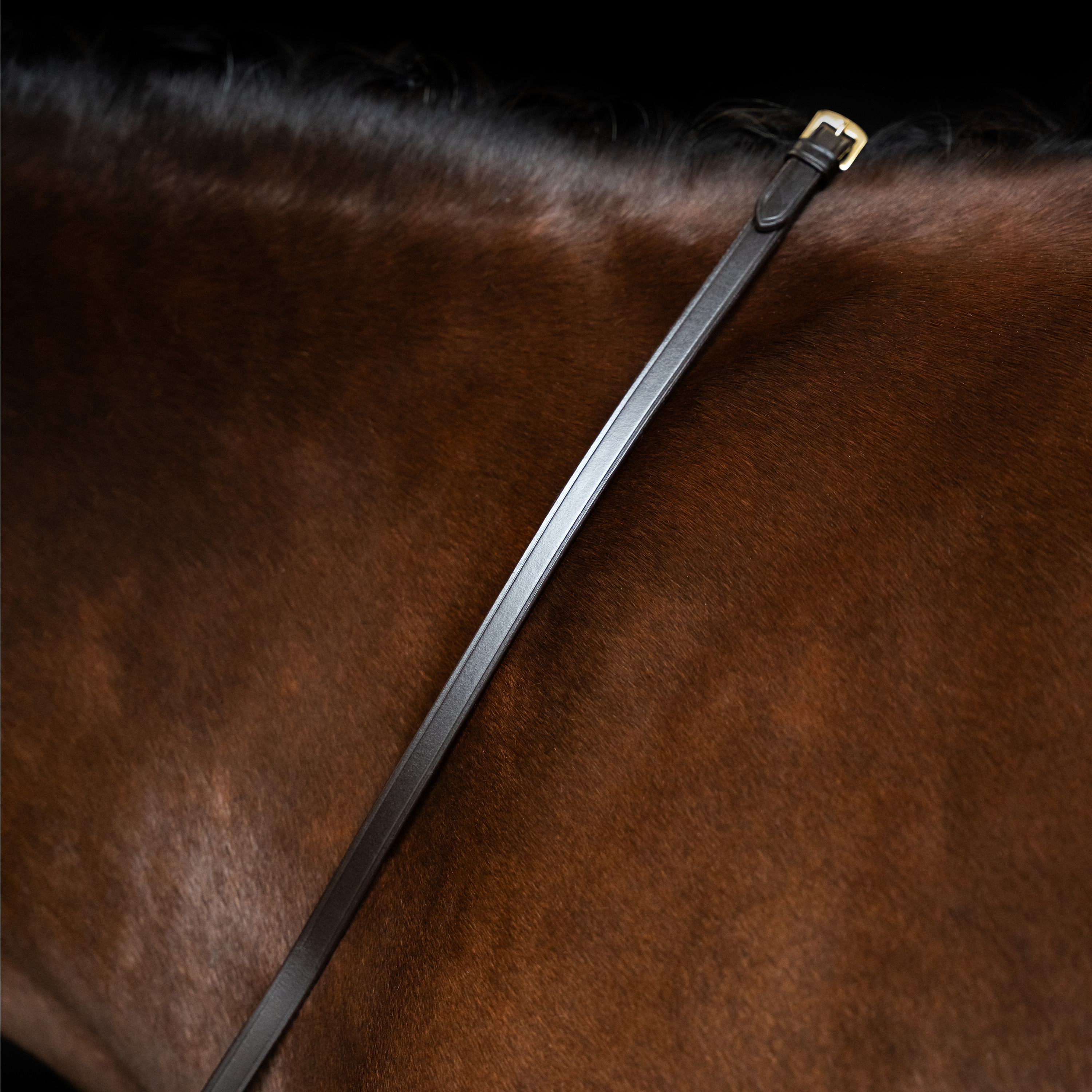 Imperial Riding Tyglar slät läder - Mörkbrun - 3