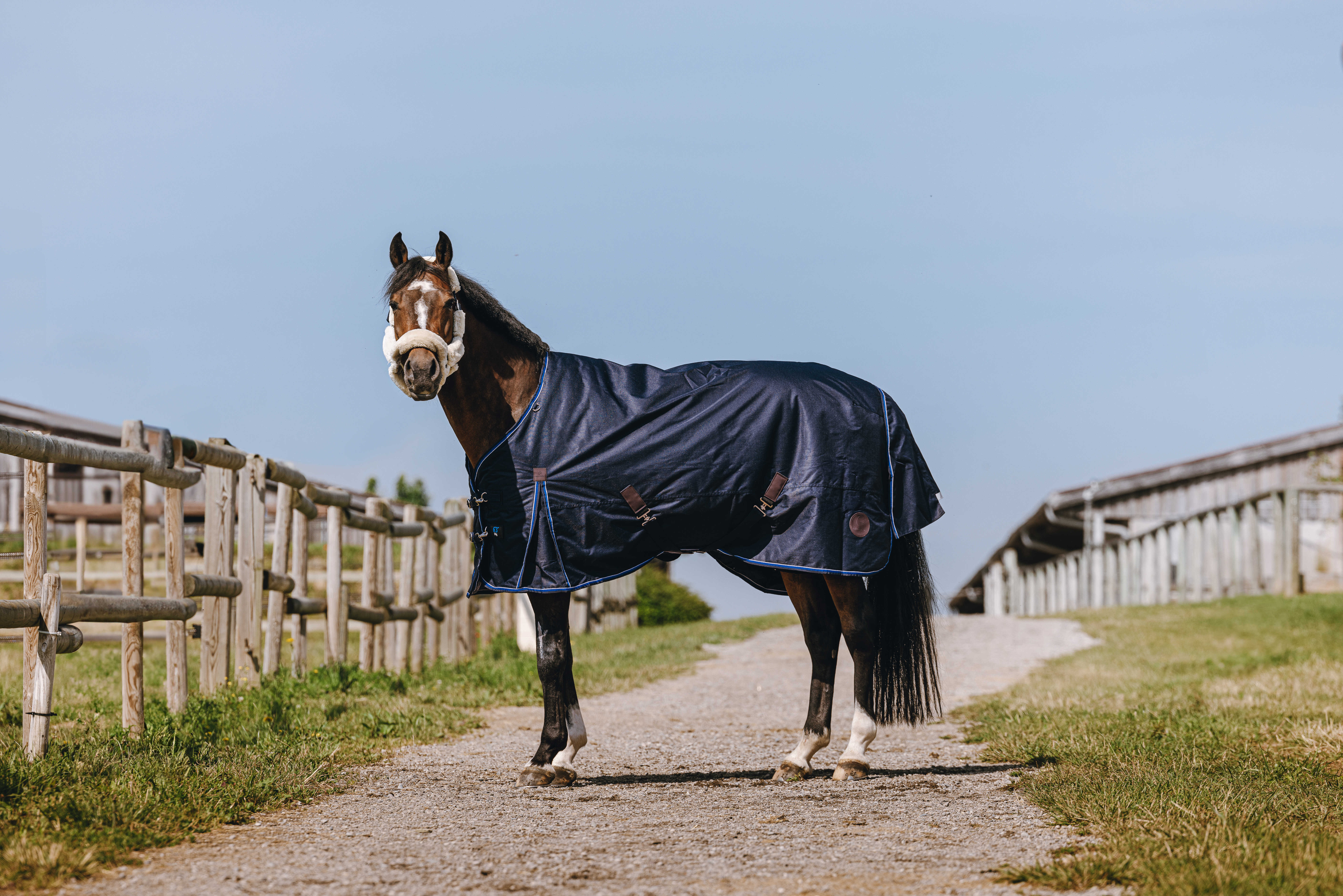 Equitheme Classic 1200 D Combo High Neck Turnout Rug with Half Neck Navy blue - 3