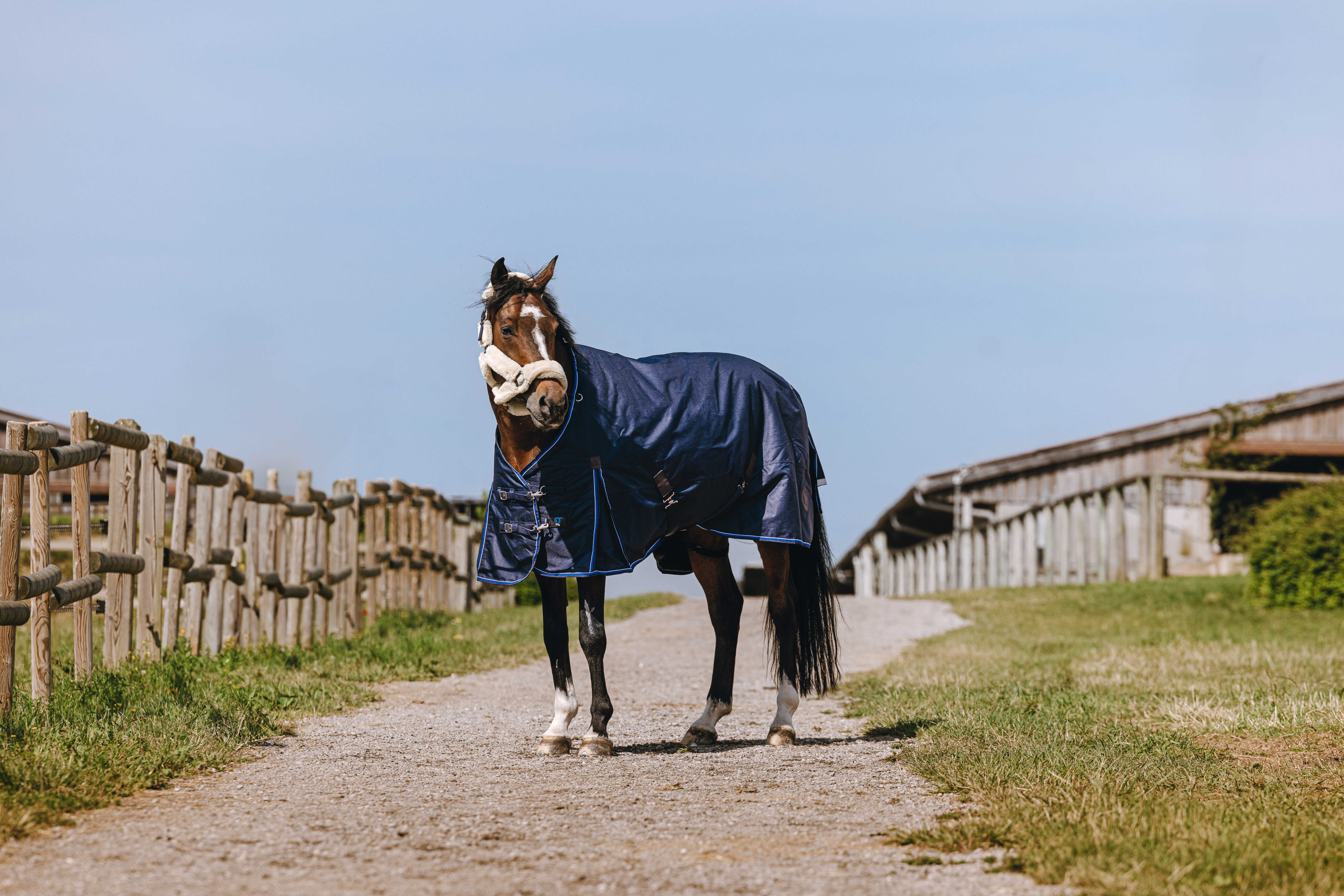 Equitheme Classic 1200 D Combo High Neck Turnout Rug with Half Neck Navy blue - 2