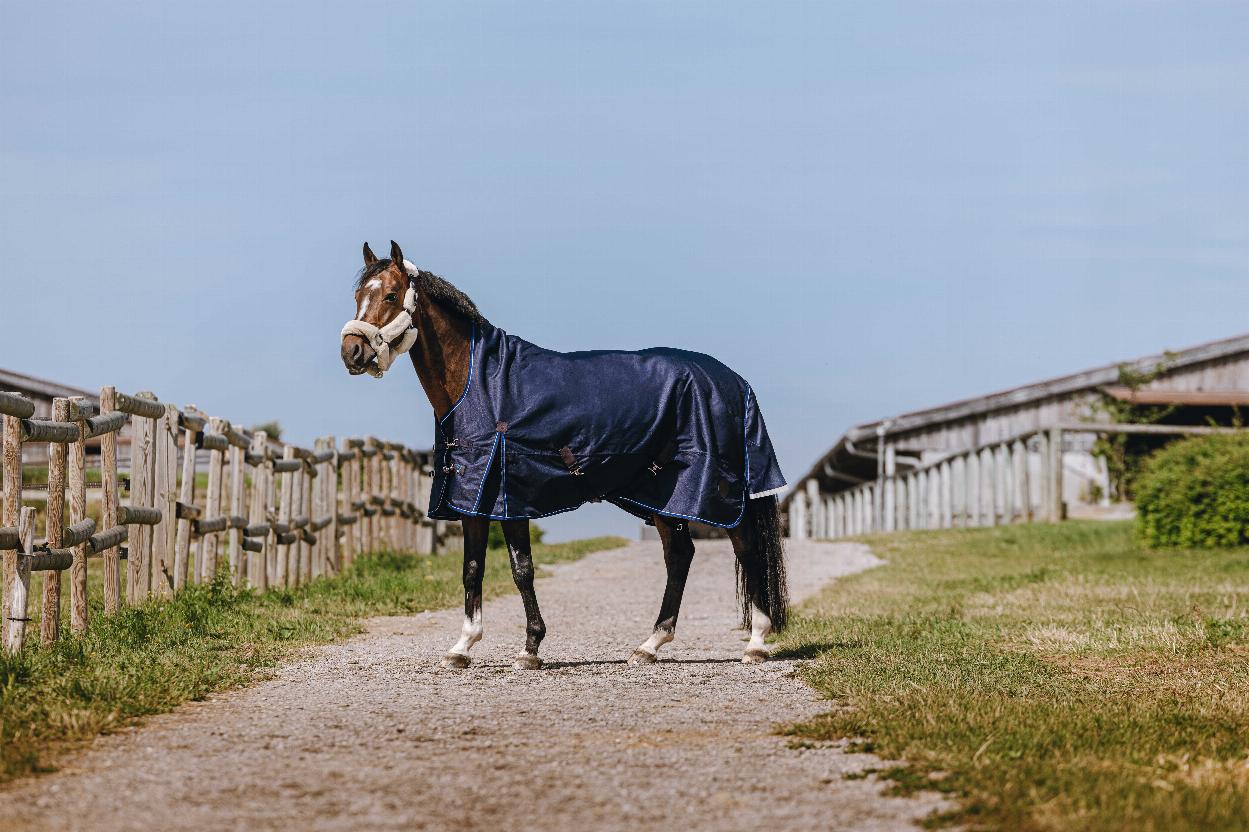 Equitheme Classic 1200 D Combo High Neck Turnout Rug with Half Neck, 200 g Navy blue