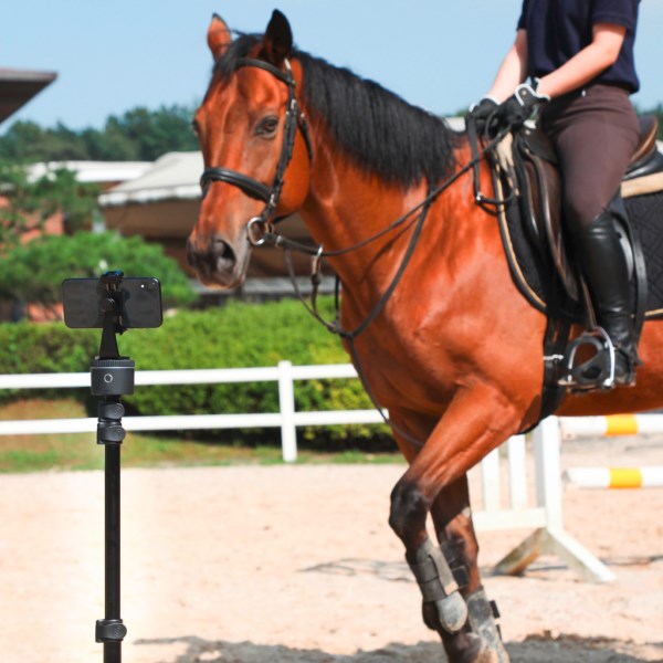 PIVO  Pod Active - 5