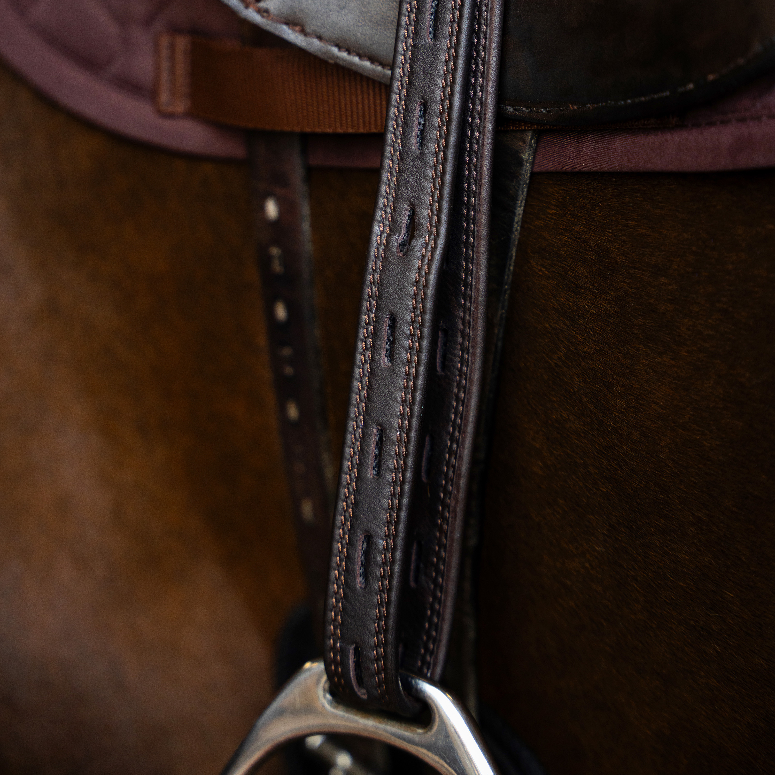 Imperial Riding Stirrup leathers Monoleaf - Dark brown - 4