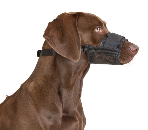 Muzzle Basket in Nylon., 30x11cm - 3
