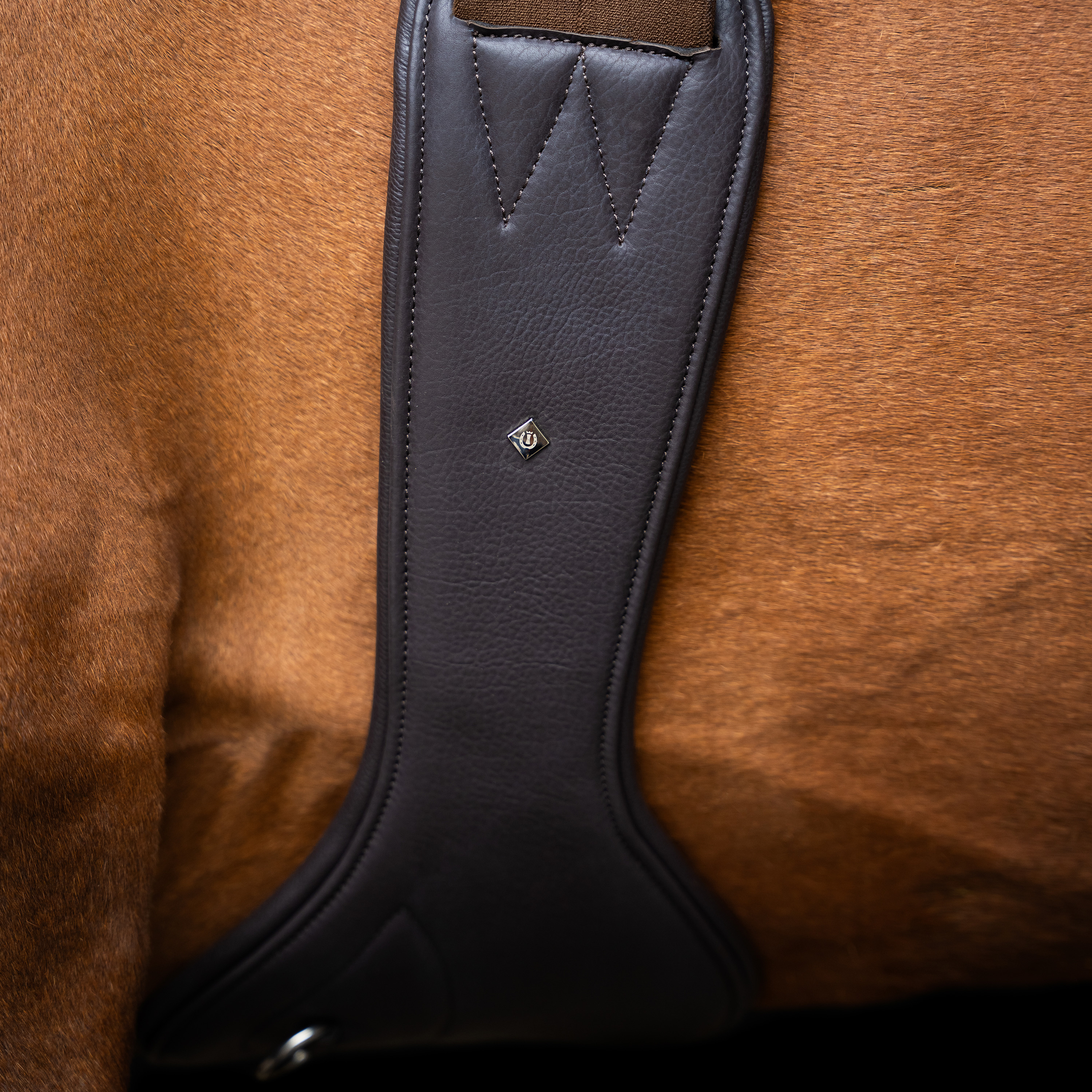 Imperial Riding Hoppgördel anatomisk med fjäderspännen - Mörkbrun - 2